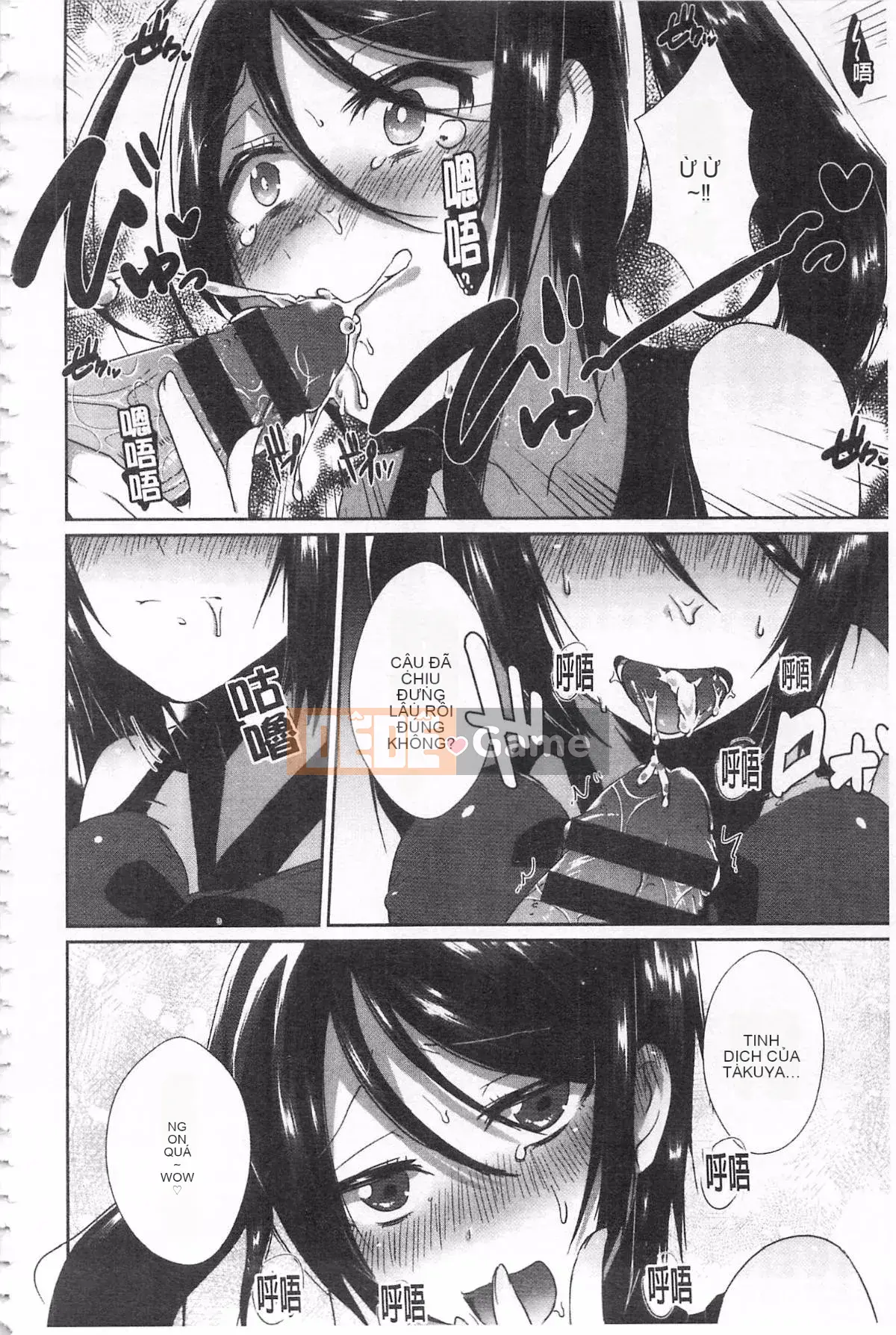 [Tôm Ebina] Puriman tươi