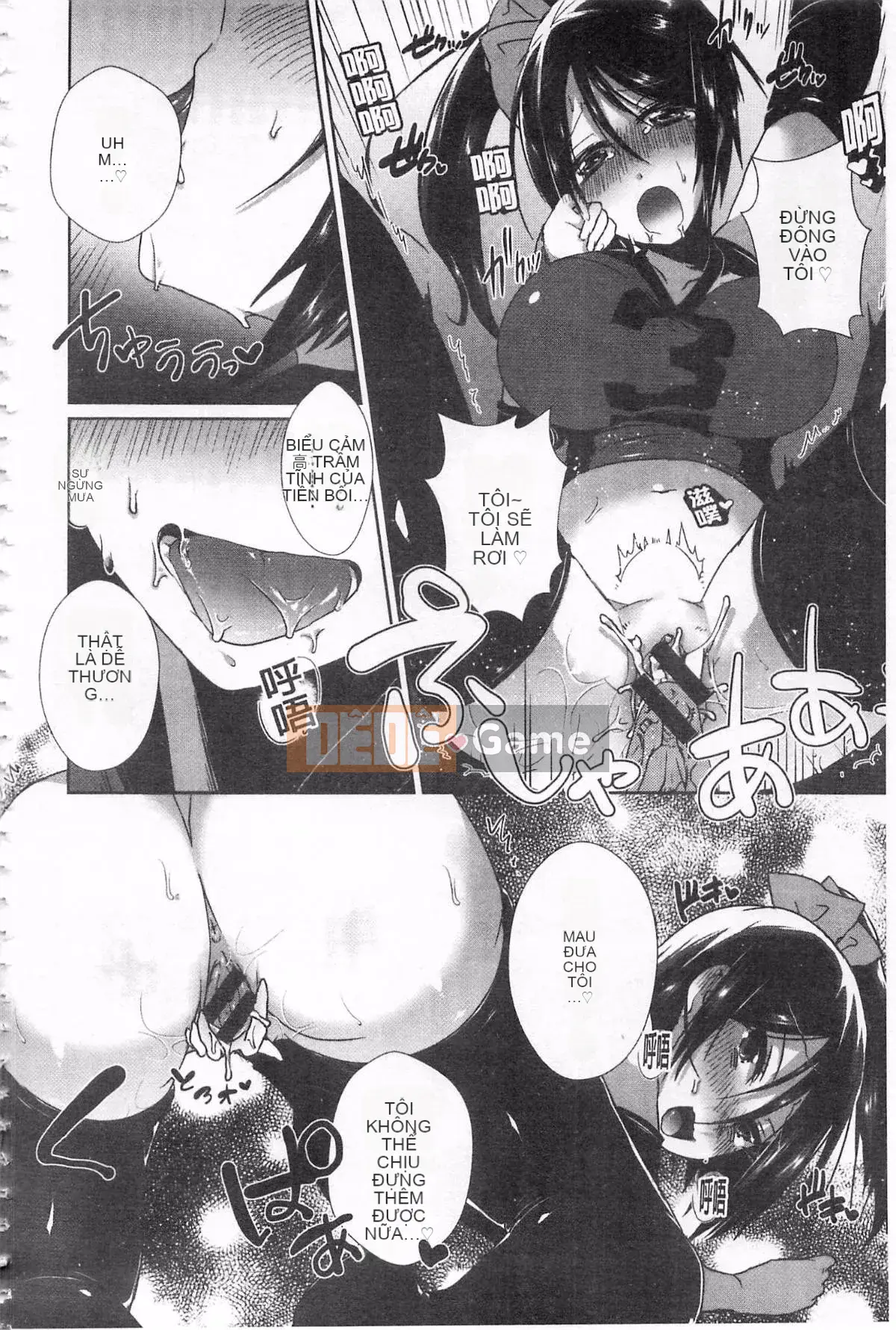 [Tôm Ebina] Puriman tươi