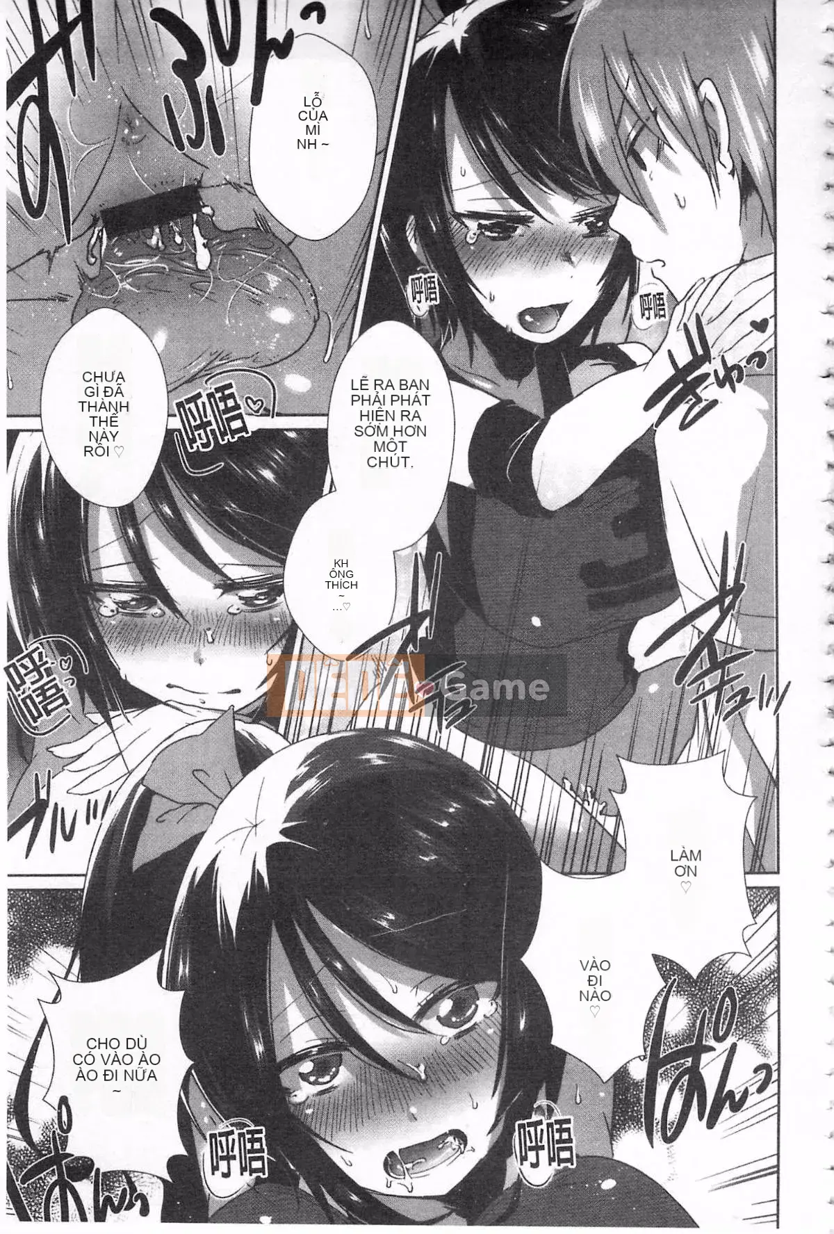 [Tôm Ebina] Puriman tươi