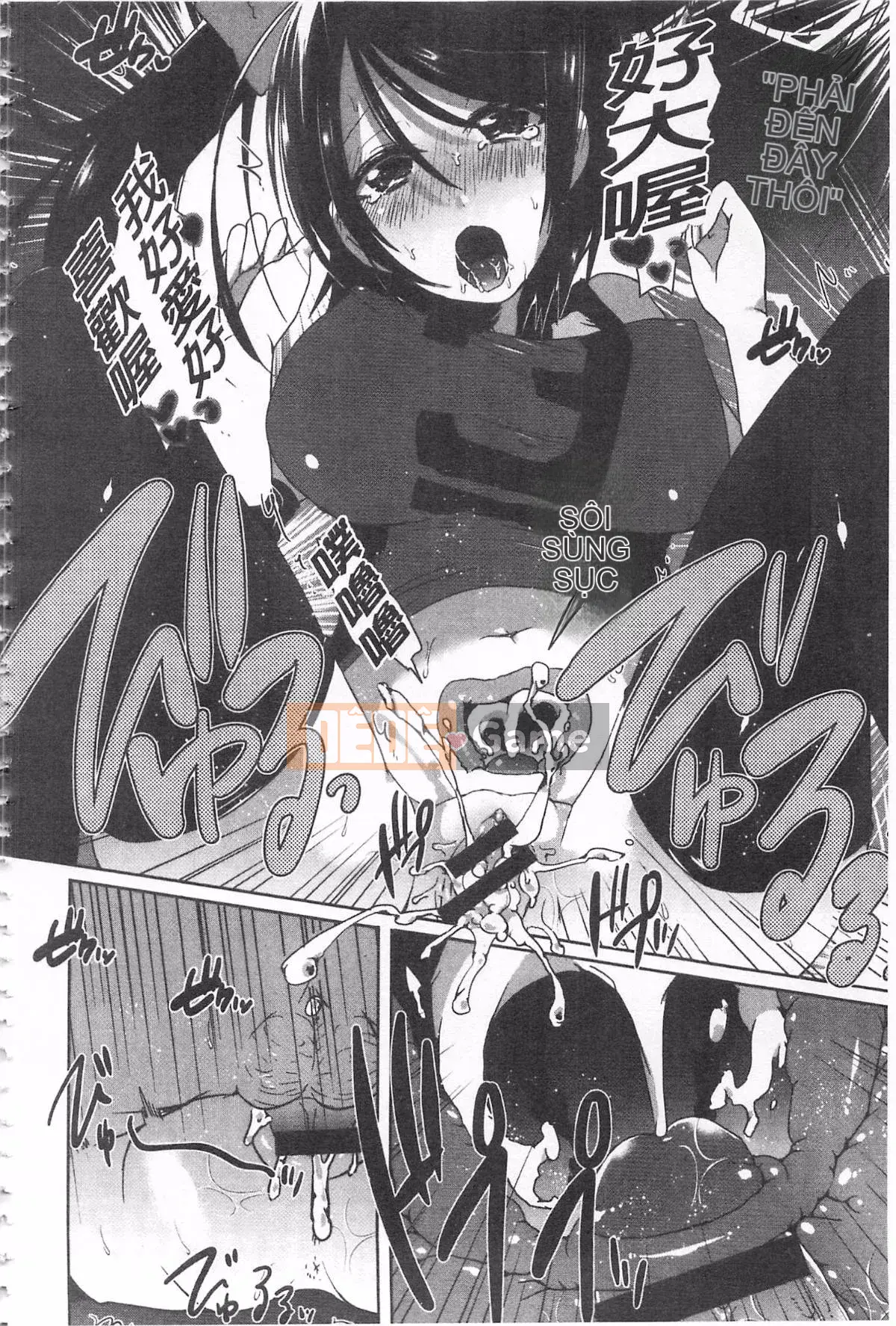 [Tôm Ebina] Puriman tươi