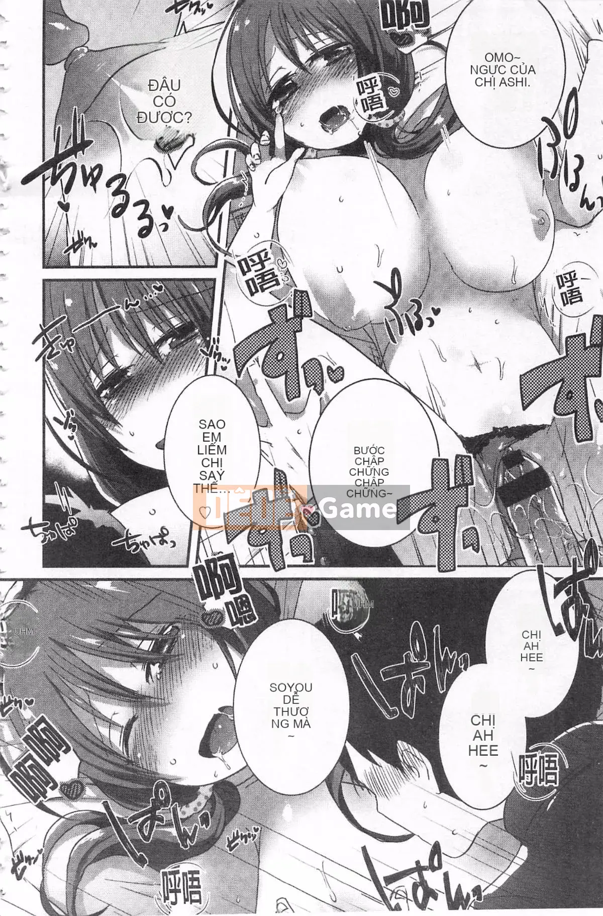 [Tôm Ebina] Puriman tươi