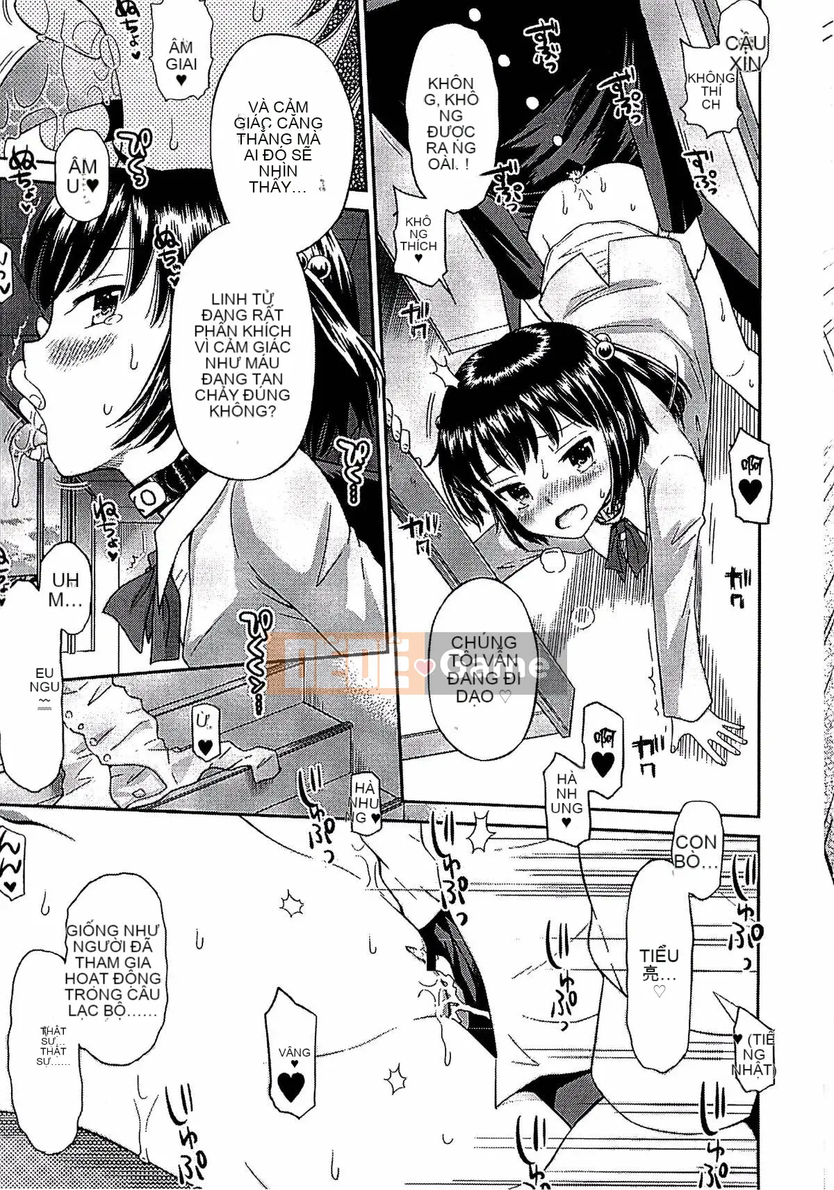 [Tamachiyuki] Shonen x Shoujo