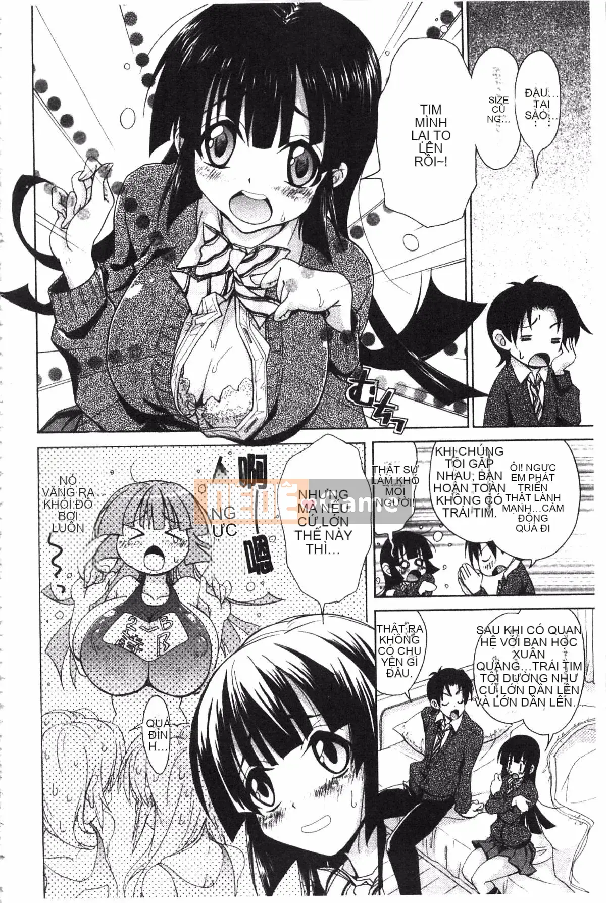 [Koku Tabby] Những người yêu thích Toshiue