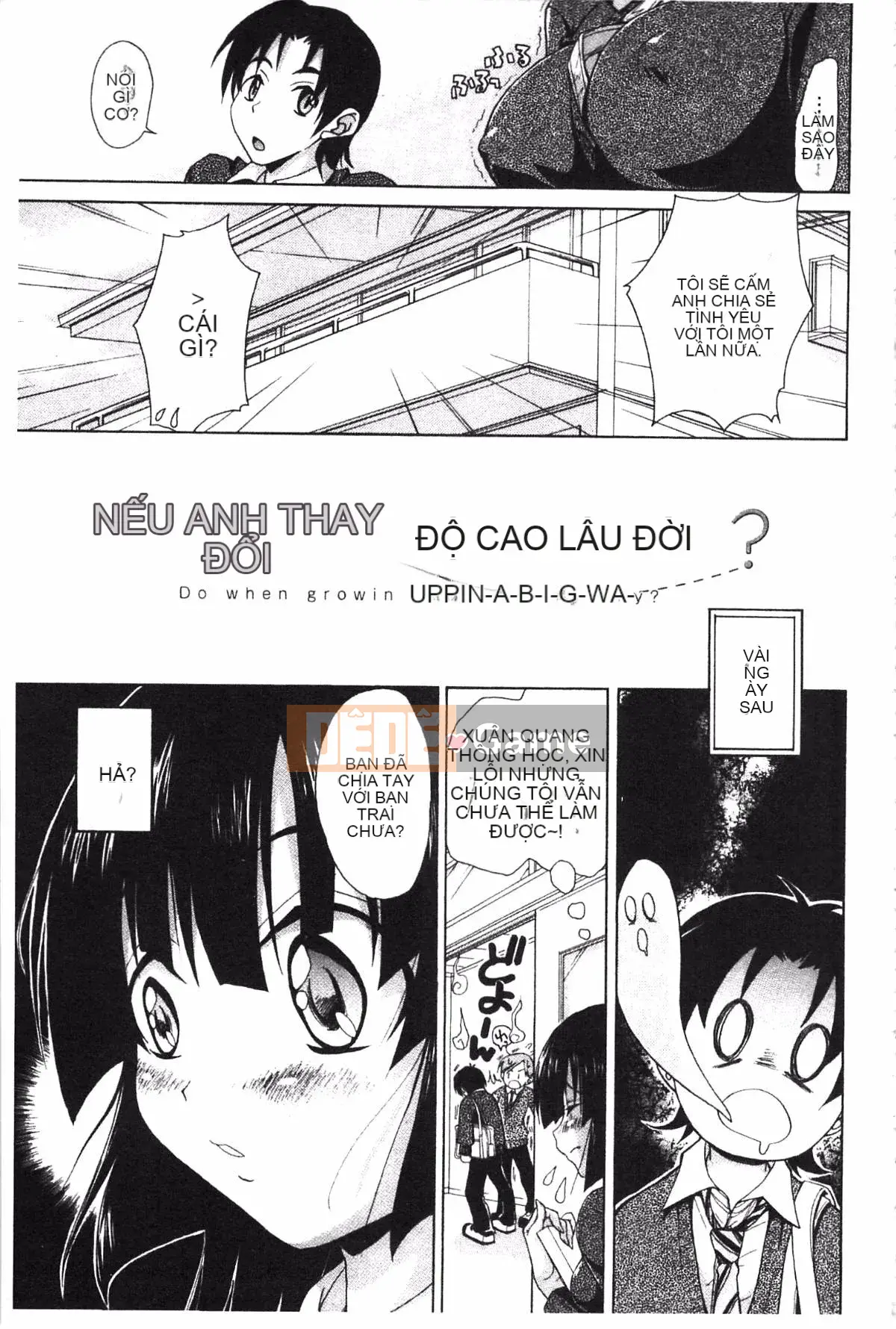 [Koku Tabby] Những người yêu thích Toshiue