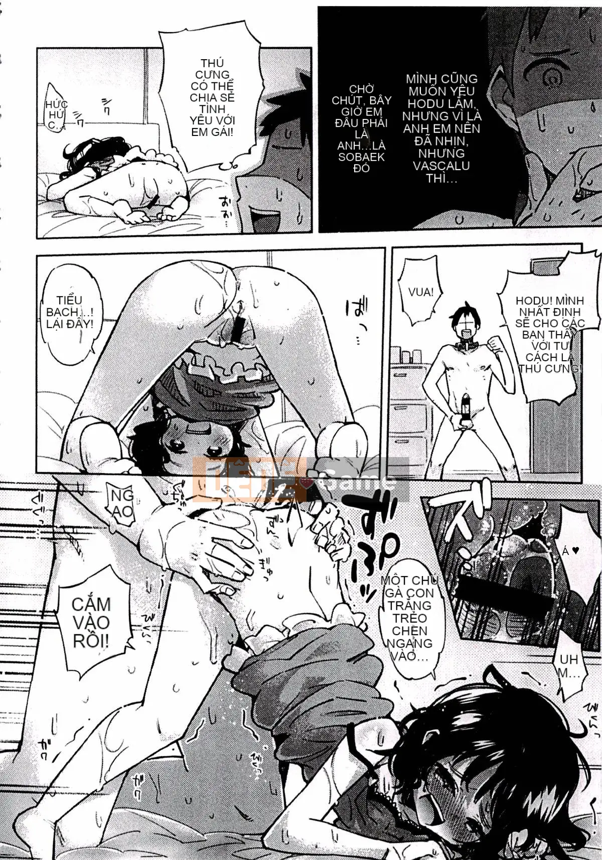 [Seiho Kei] Ngực nhỏ là nguồn seikou