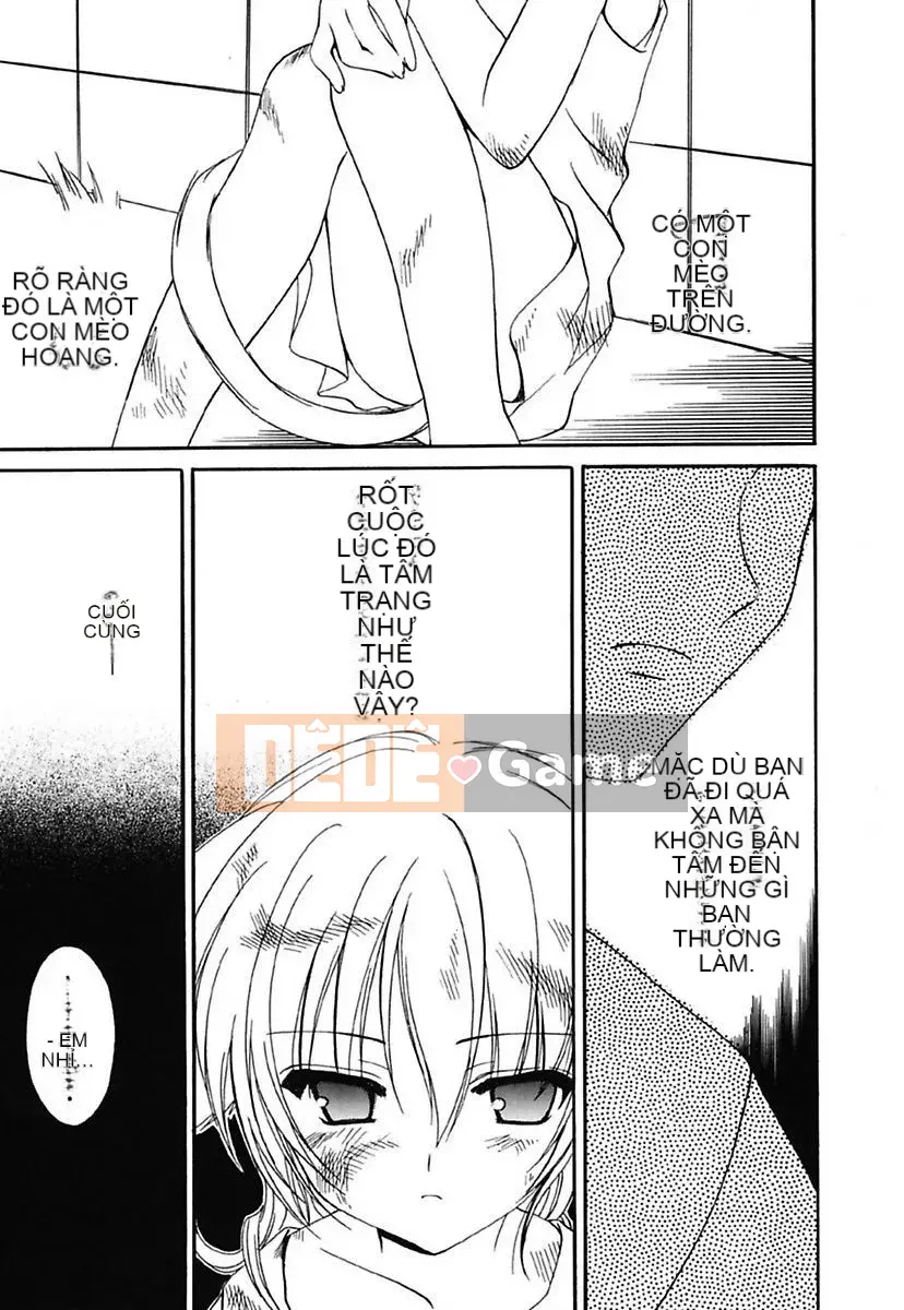 [Mari Amaha] Cô gái giao tiếp