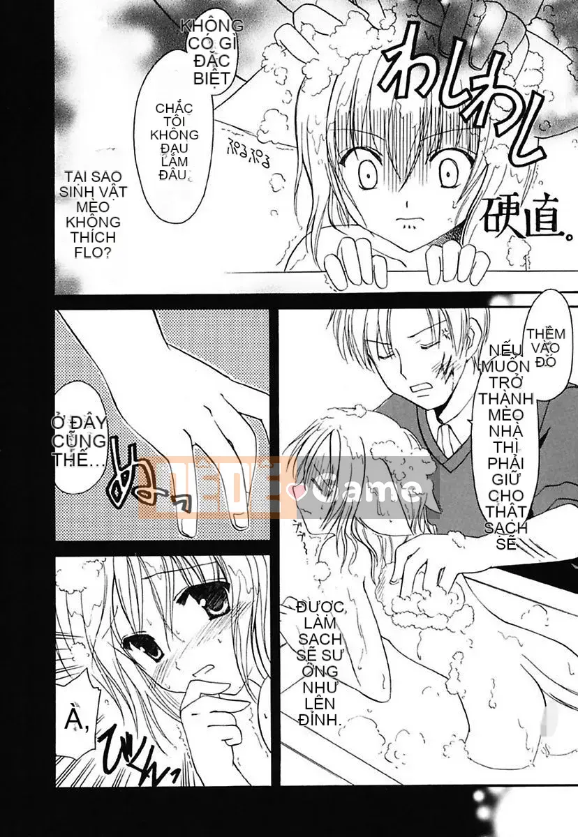 [Mari Amaha] Cô gái giao tiếp