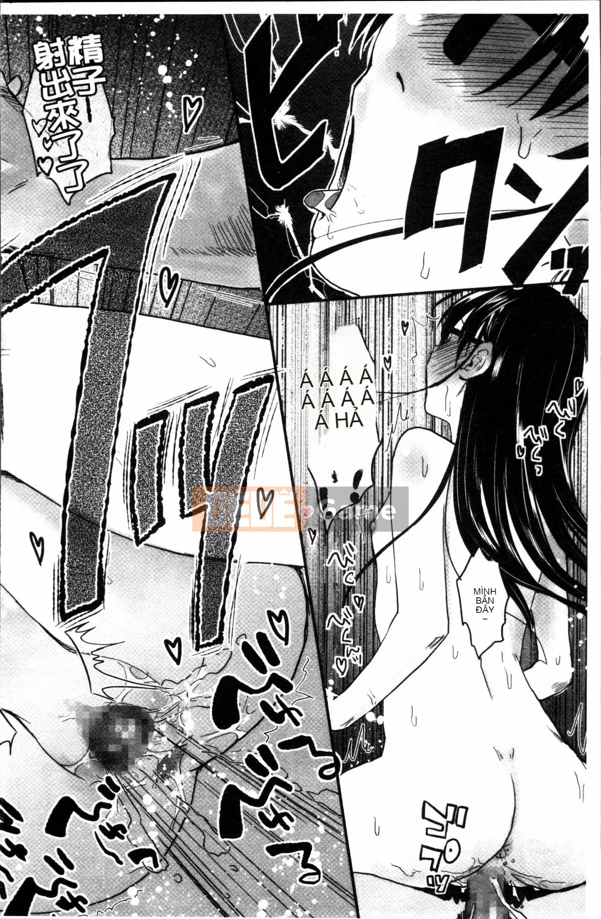 [Nhóm càn quét 4K][Kagetora còn lại] Hatsujou de Izu