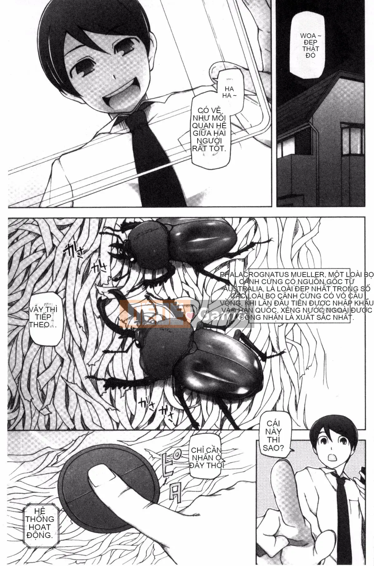 [Kazeteki Koubou] [Mito Cid] Ứng dụng Doskebe ♥