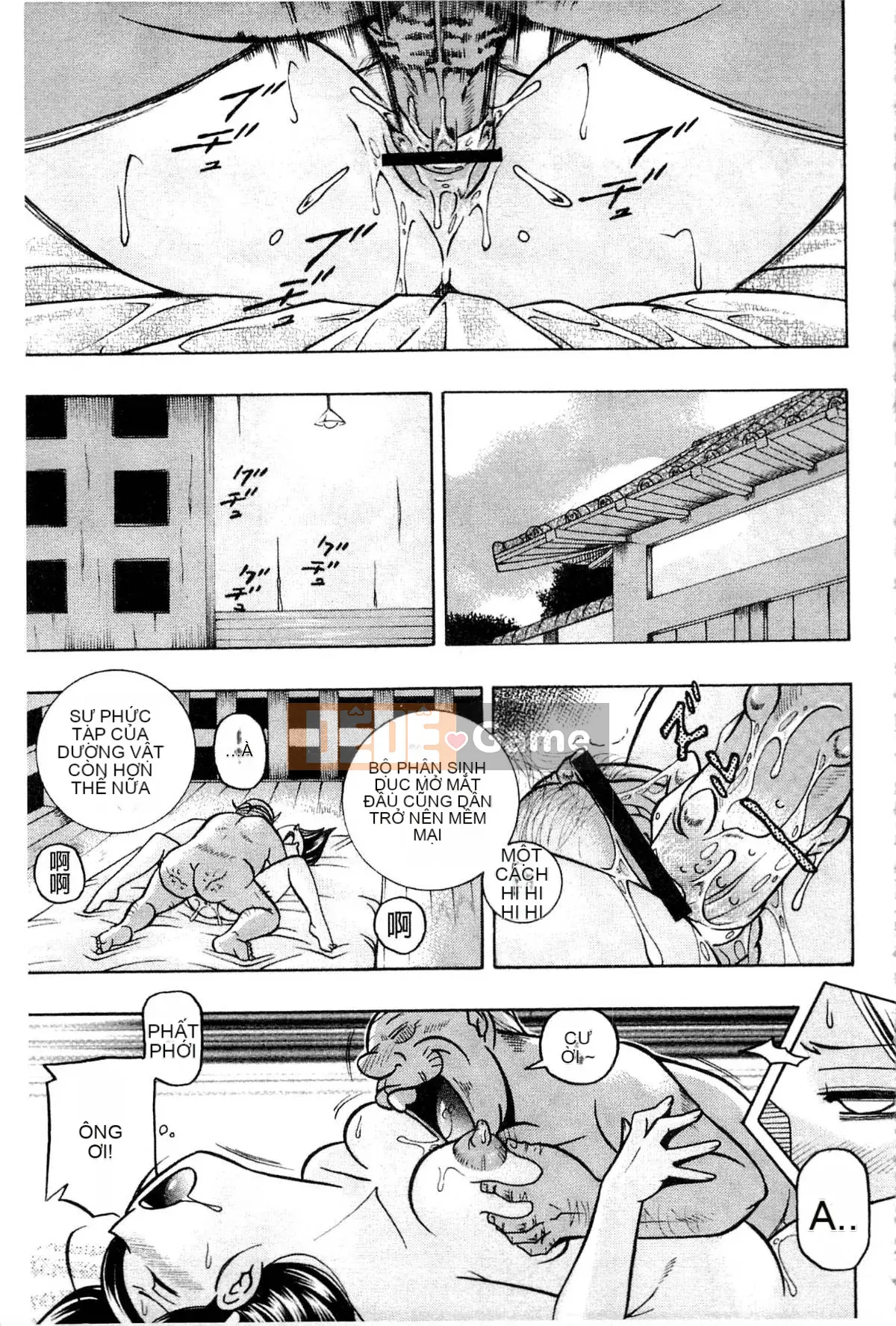 [Naruto Trung Quốc] Reijo Maiko ~Bữa tiệc bí mật của gia đình cũ~