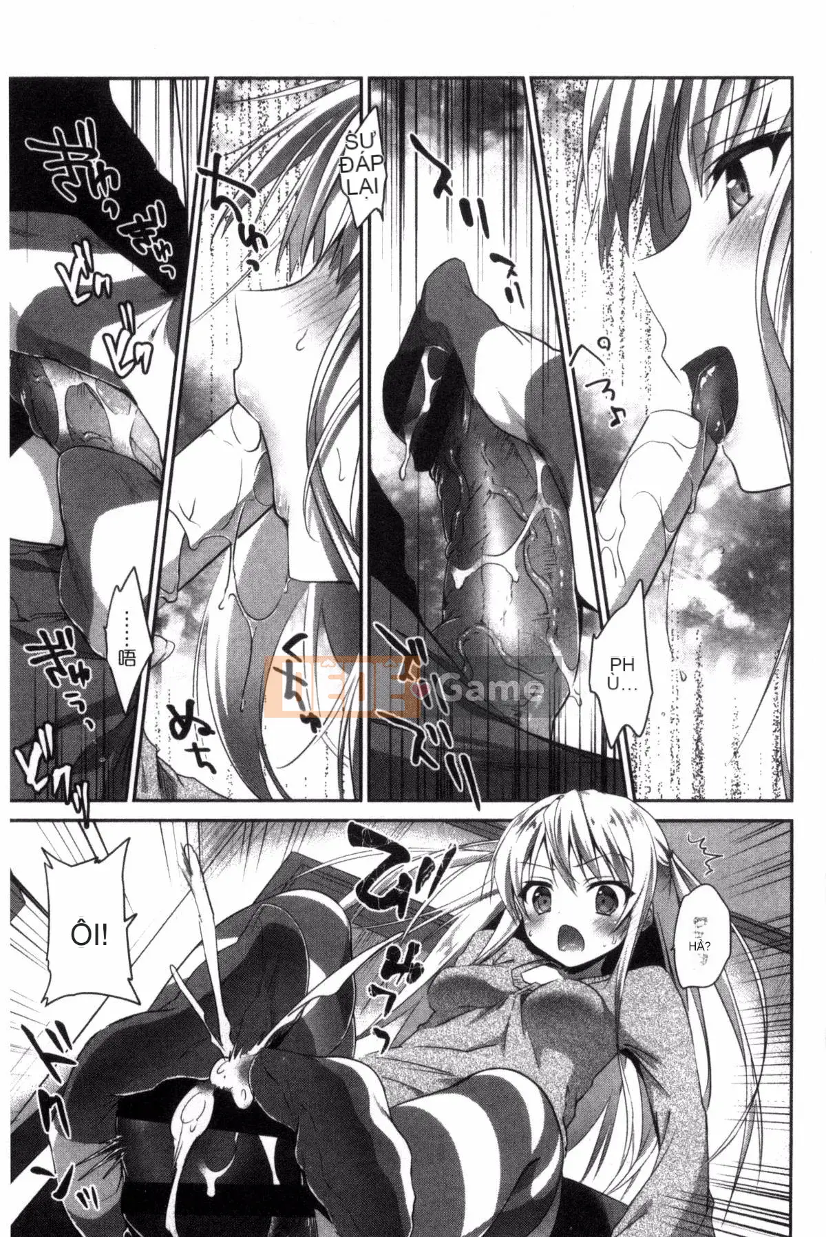 [Sản xuất Kazeyo Yoseki] [Amanagi Celadon] Full Naka・Namaiki