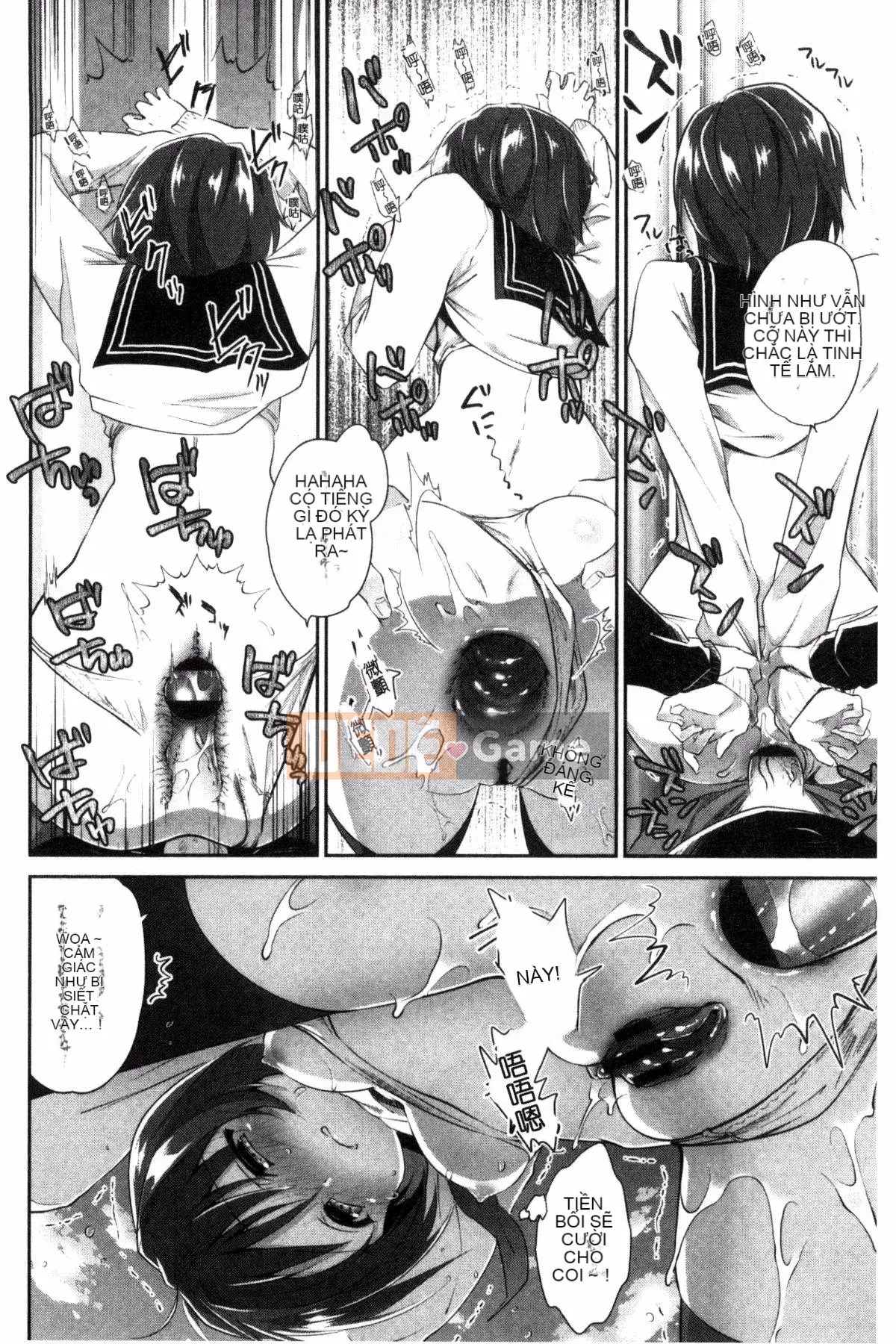 [Sản xuất Kazeyo Yoseki] [Amanagi Celadon] Full Naka・Namaiki