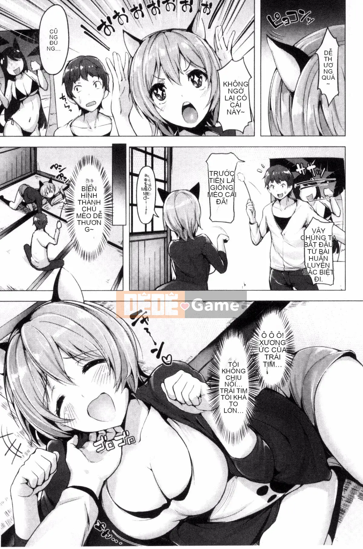 [Shiba Nanase] Buffet thú cưng