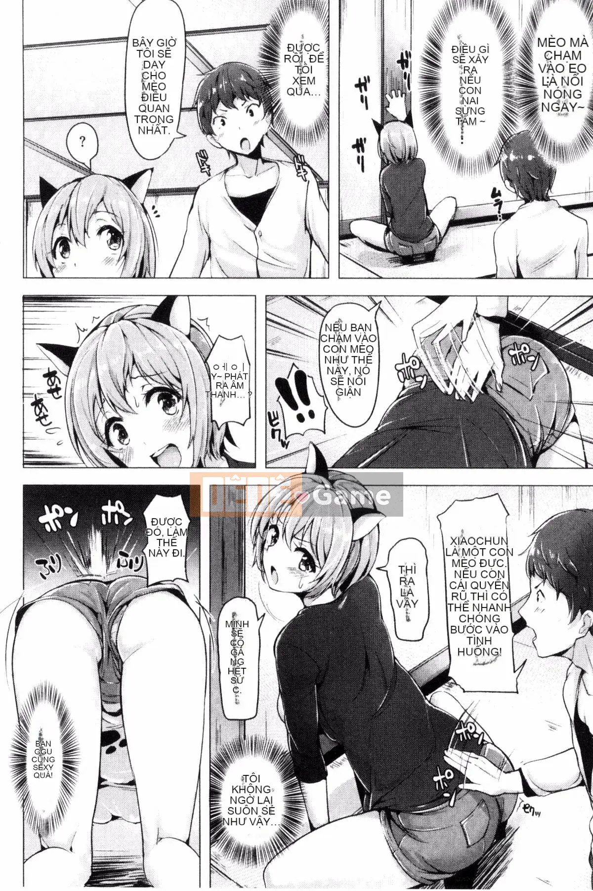 [Shiba Nanase] Buffet thú cưng