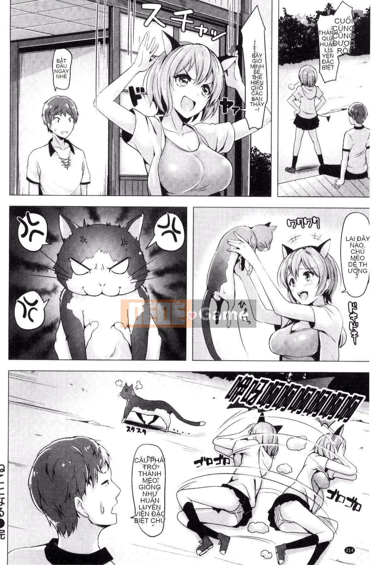 [Shiba Nanase] Buffet thú cưng