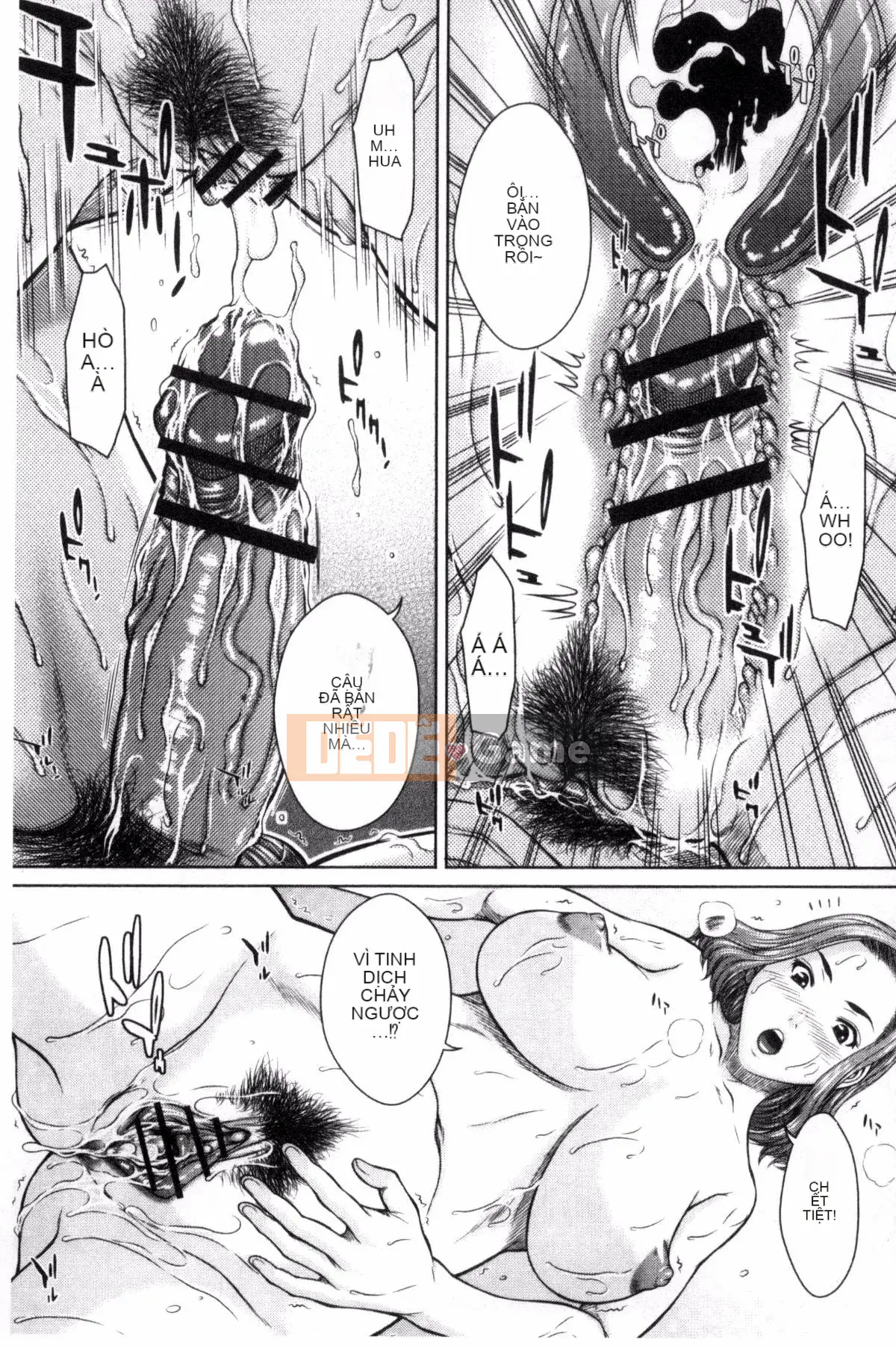 [Kazeteki Koubou][Naoya Ueno] Những ngày với những cô gái khiếm nhã ở Meskano