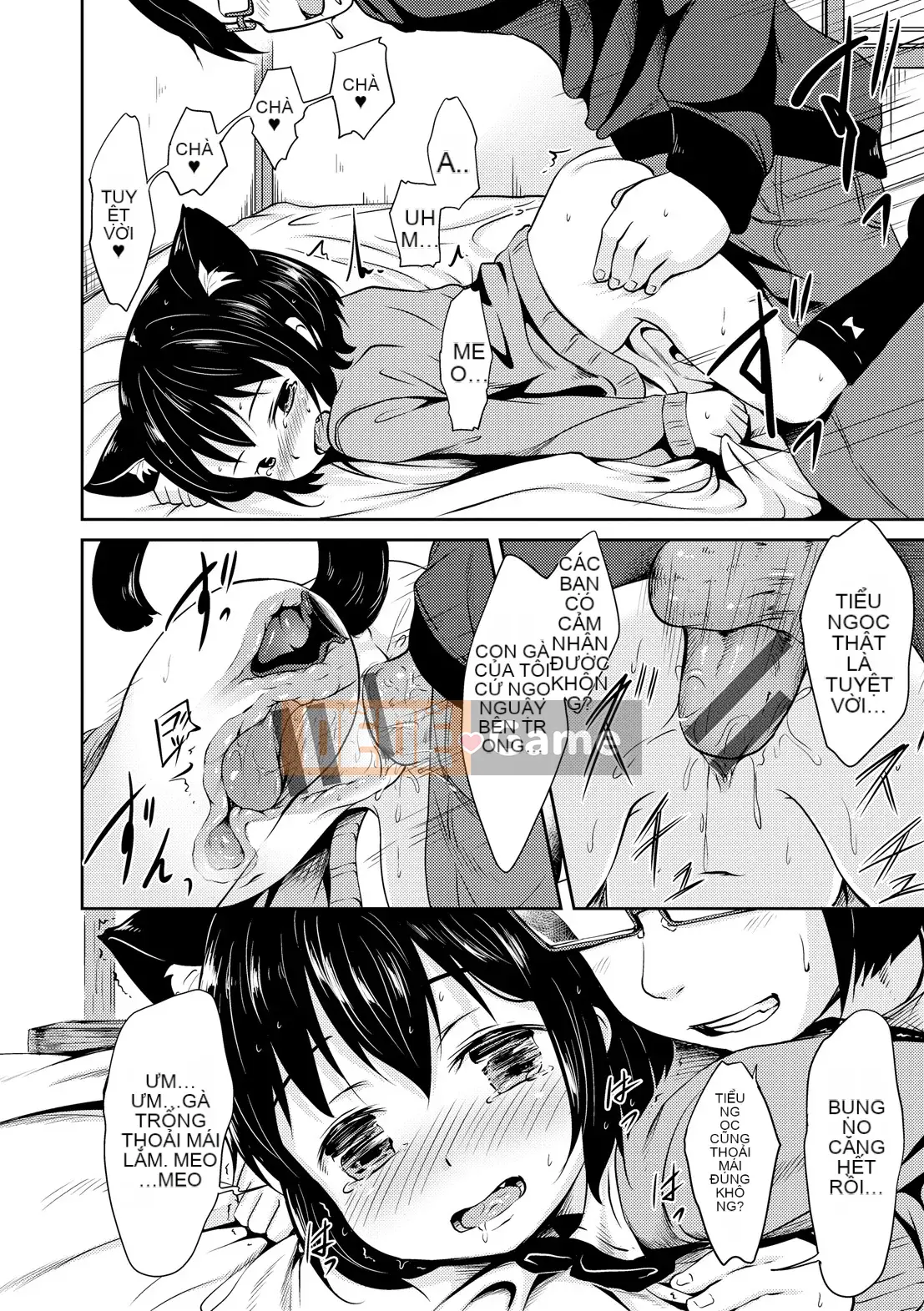 [gà thịt] Sữa Hall