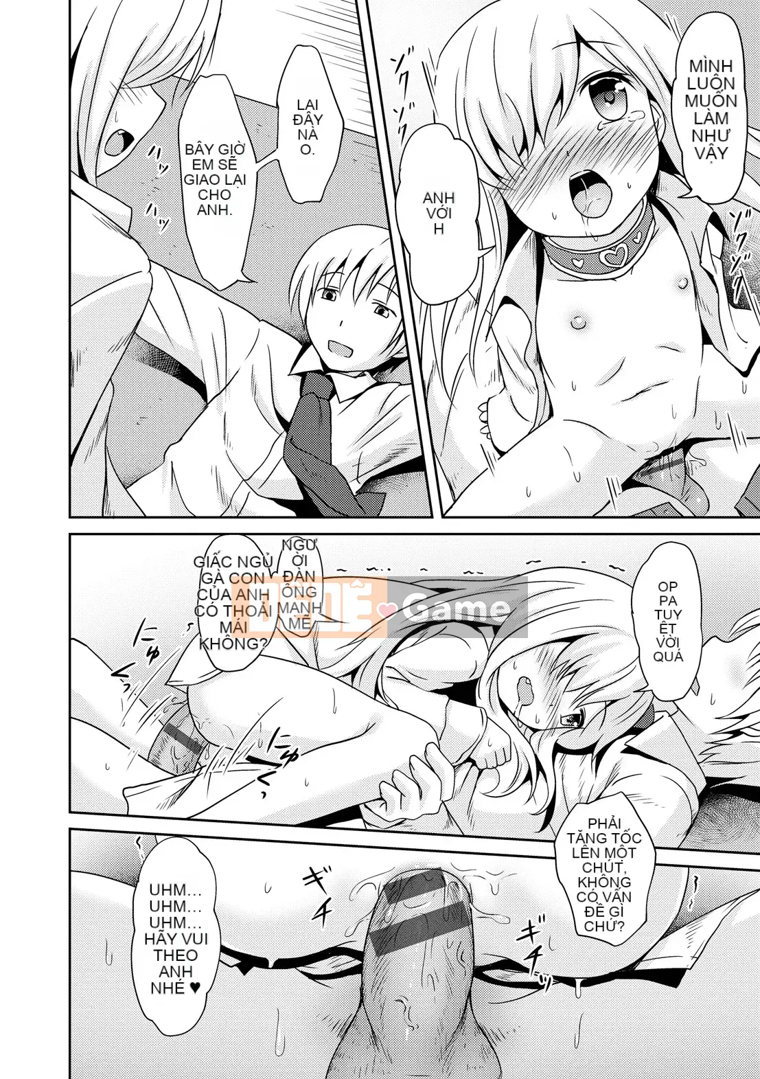 [gà thịt] Sữa Hall