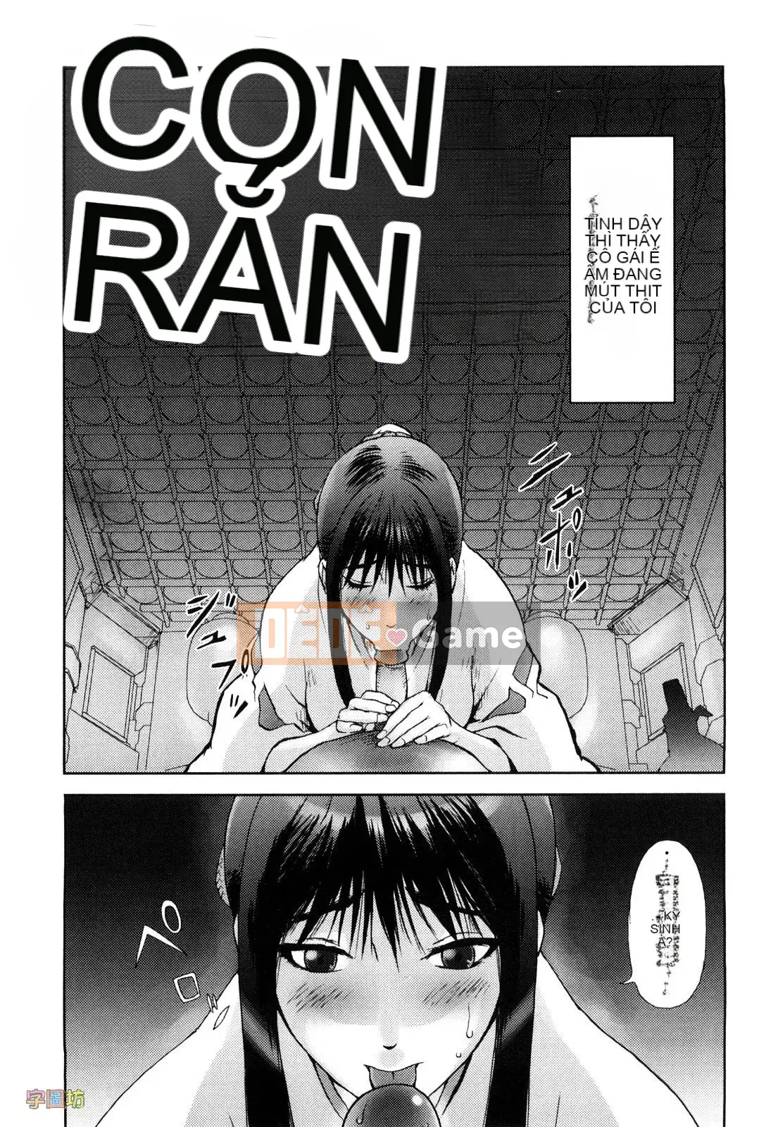 [咟吉人] HONEY♥DIP