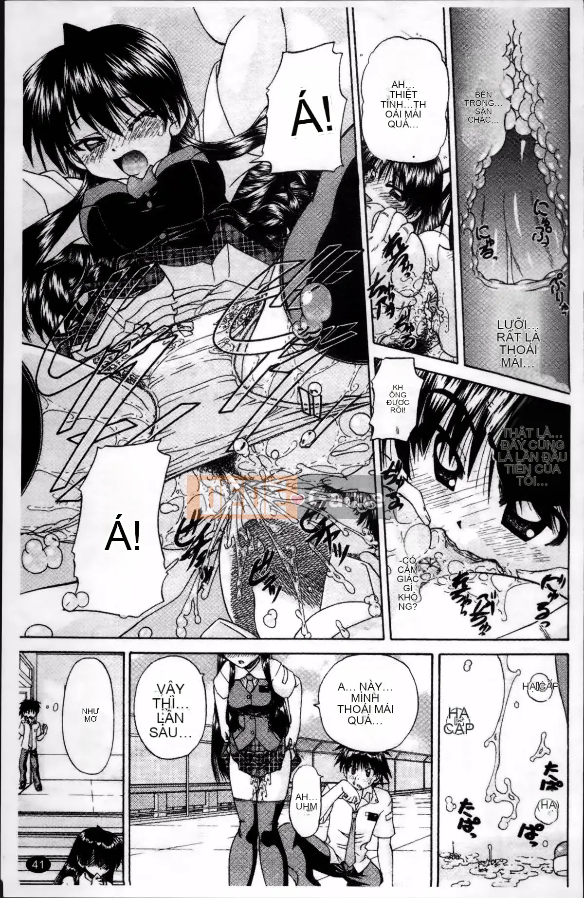 [Harugo Zen] Sách ảnh tục tĩu