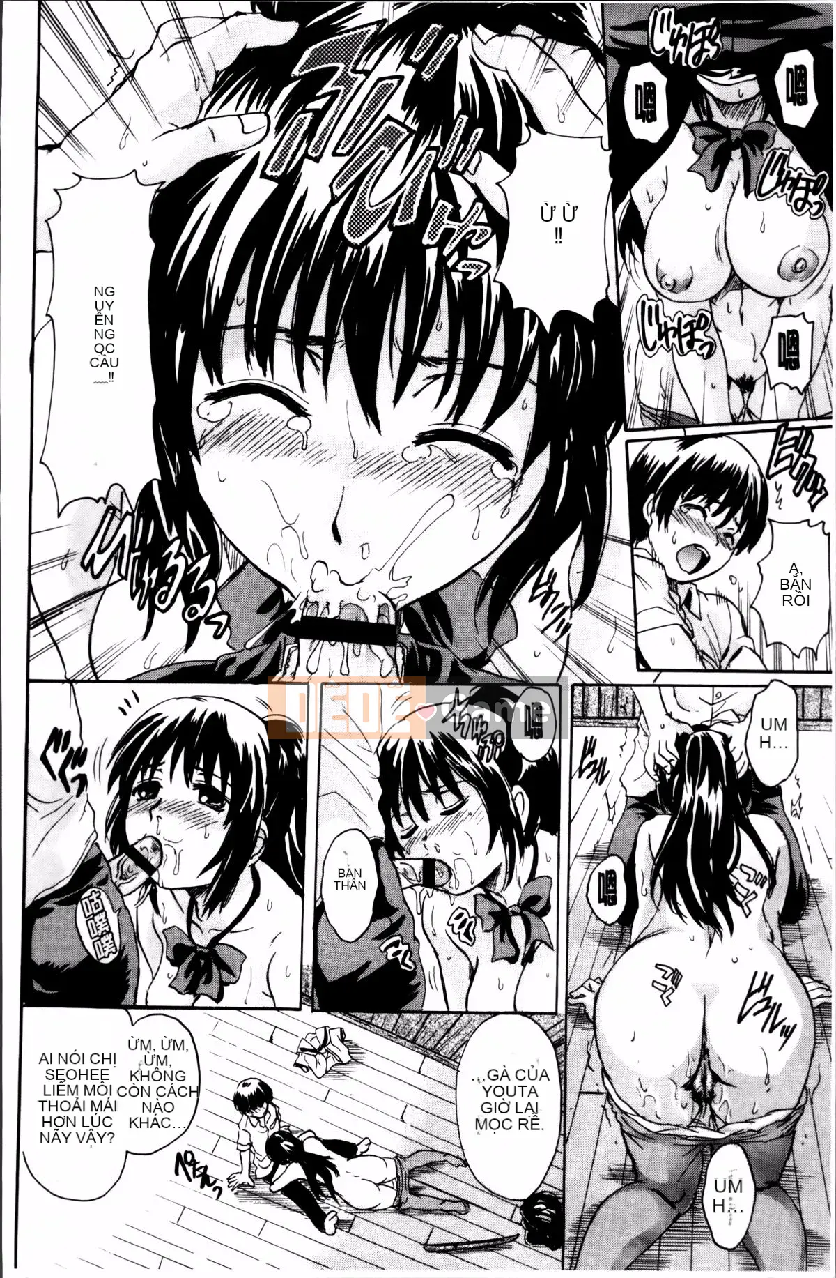 [Triết học Nakayama] Thú cưng trưởng thành