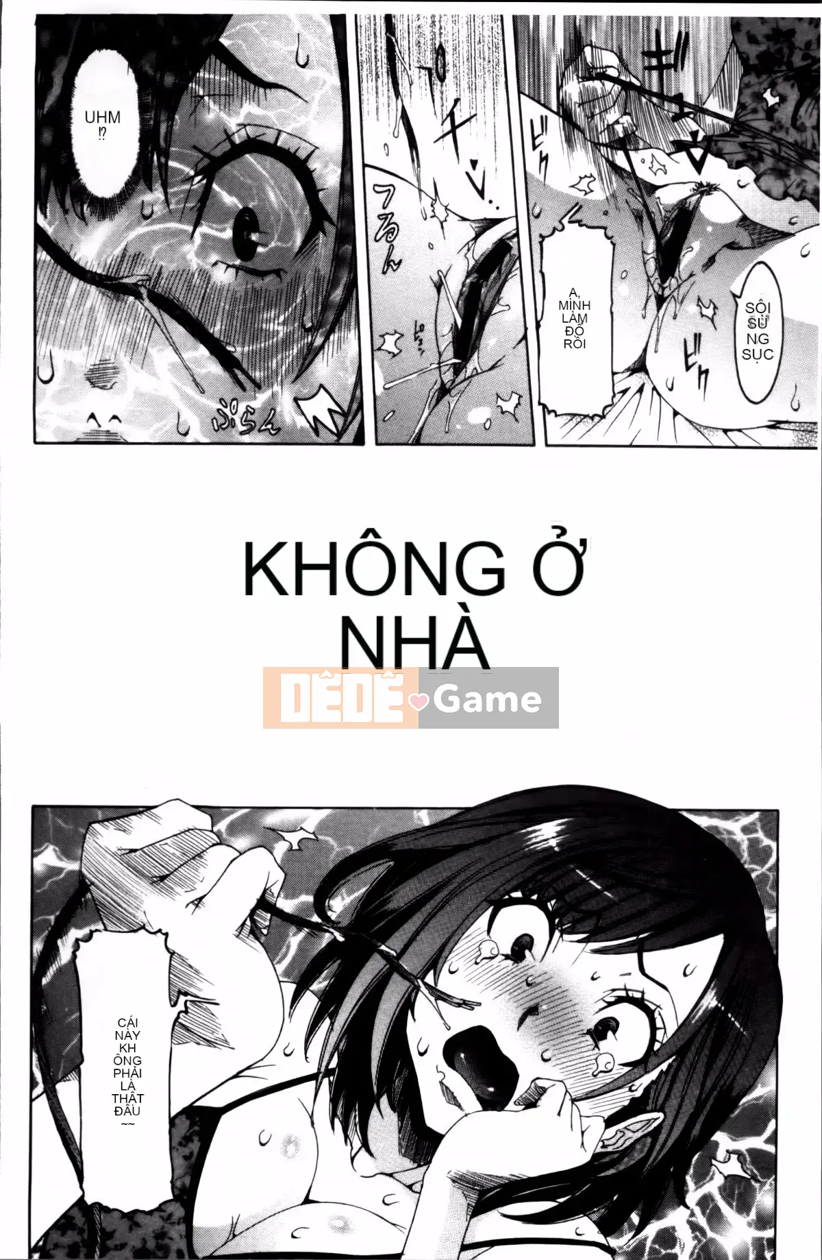 [Shouhana Fake] Bánh kem nước ép Koyu