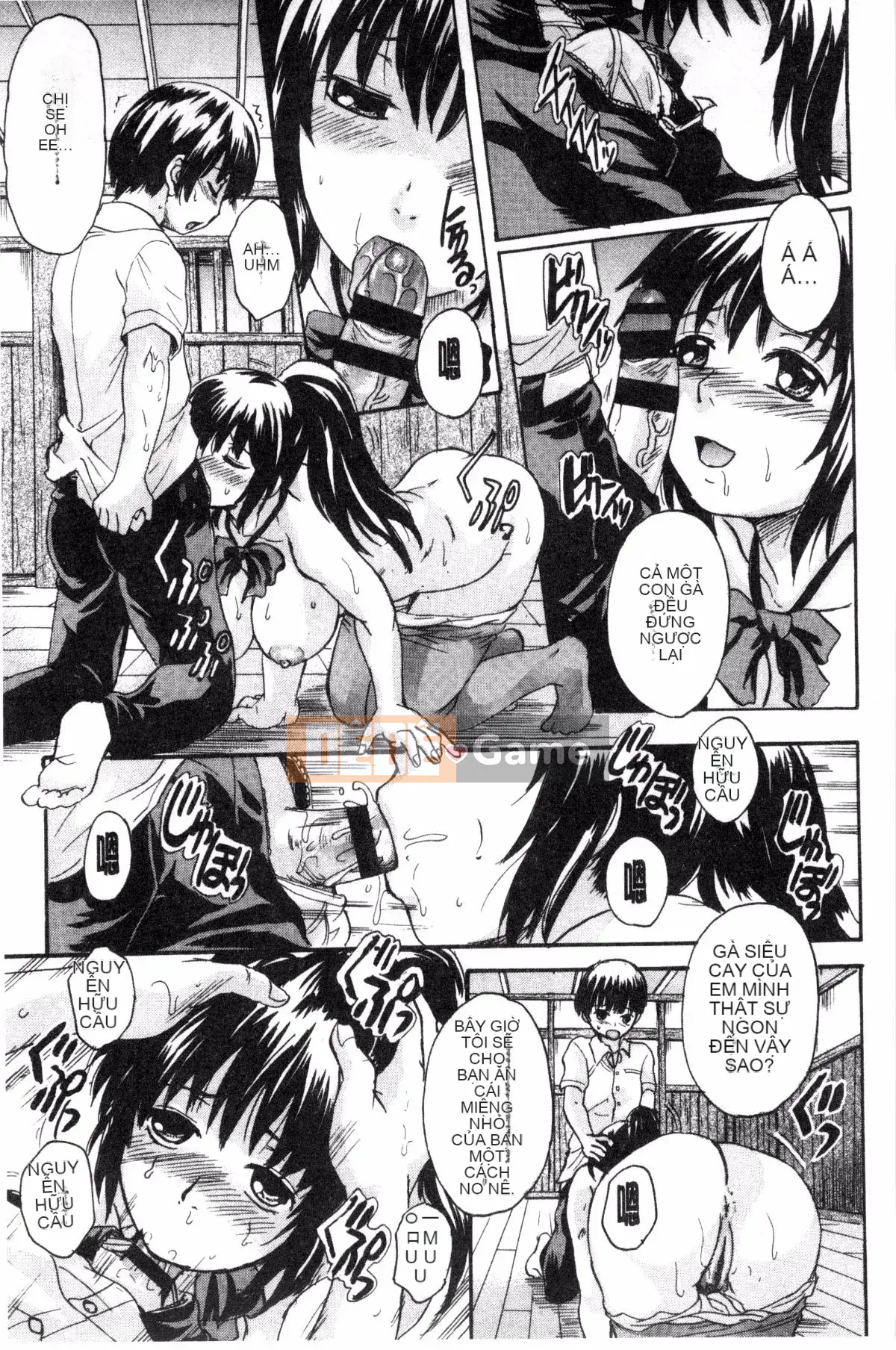 [Xưởng gió][Triết học Trung Sơn] オトナペット