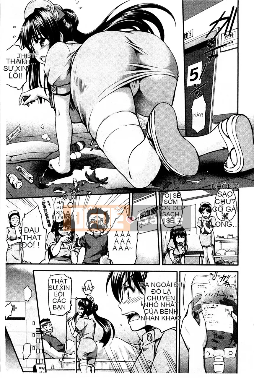 Chương trình kết thúc gieo hạt