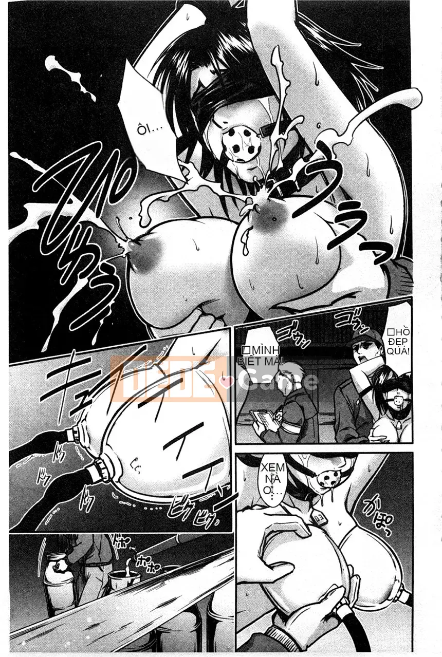 Chương trình kết thúc gieo hạt