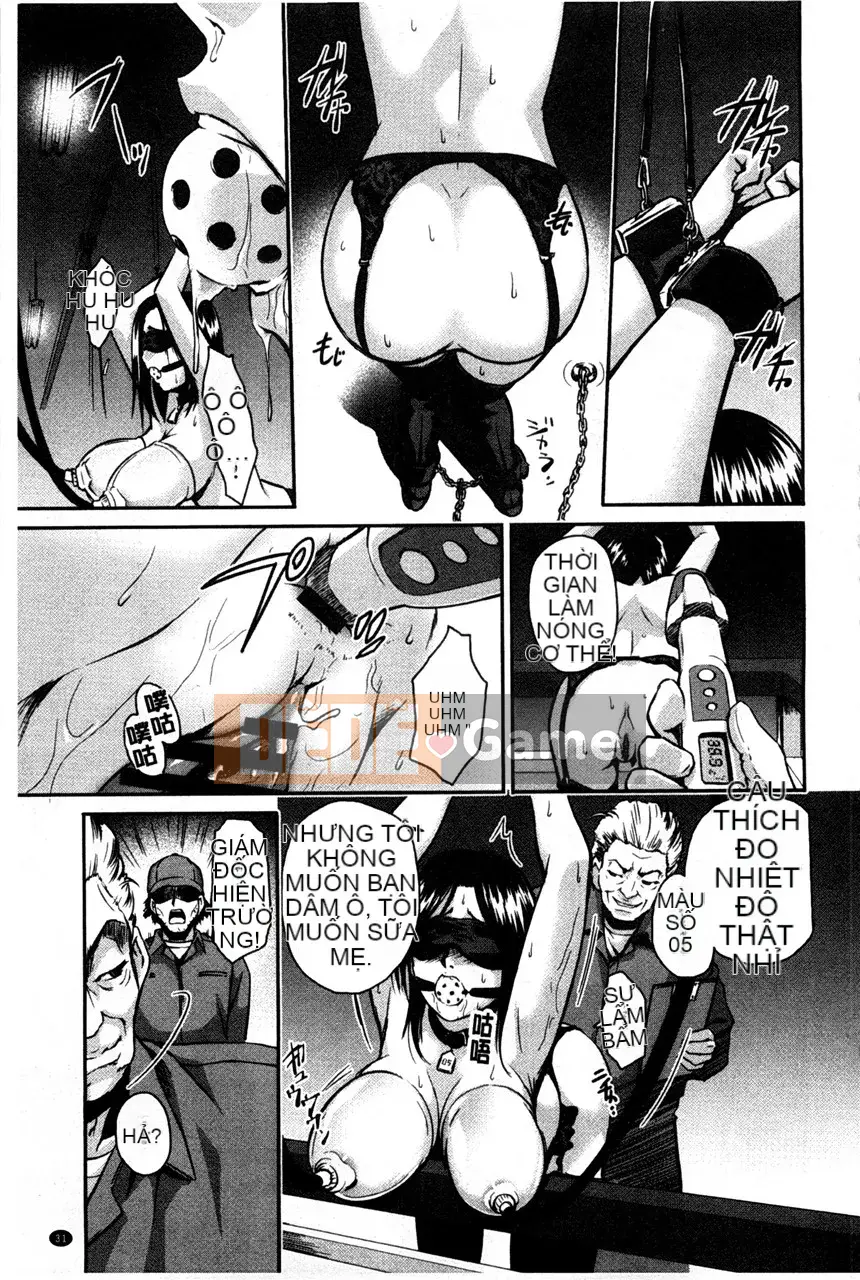 Chương trình kết thúc gieo hạt