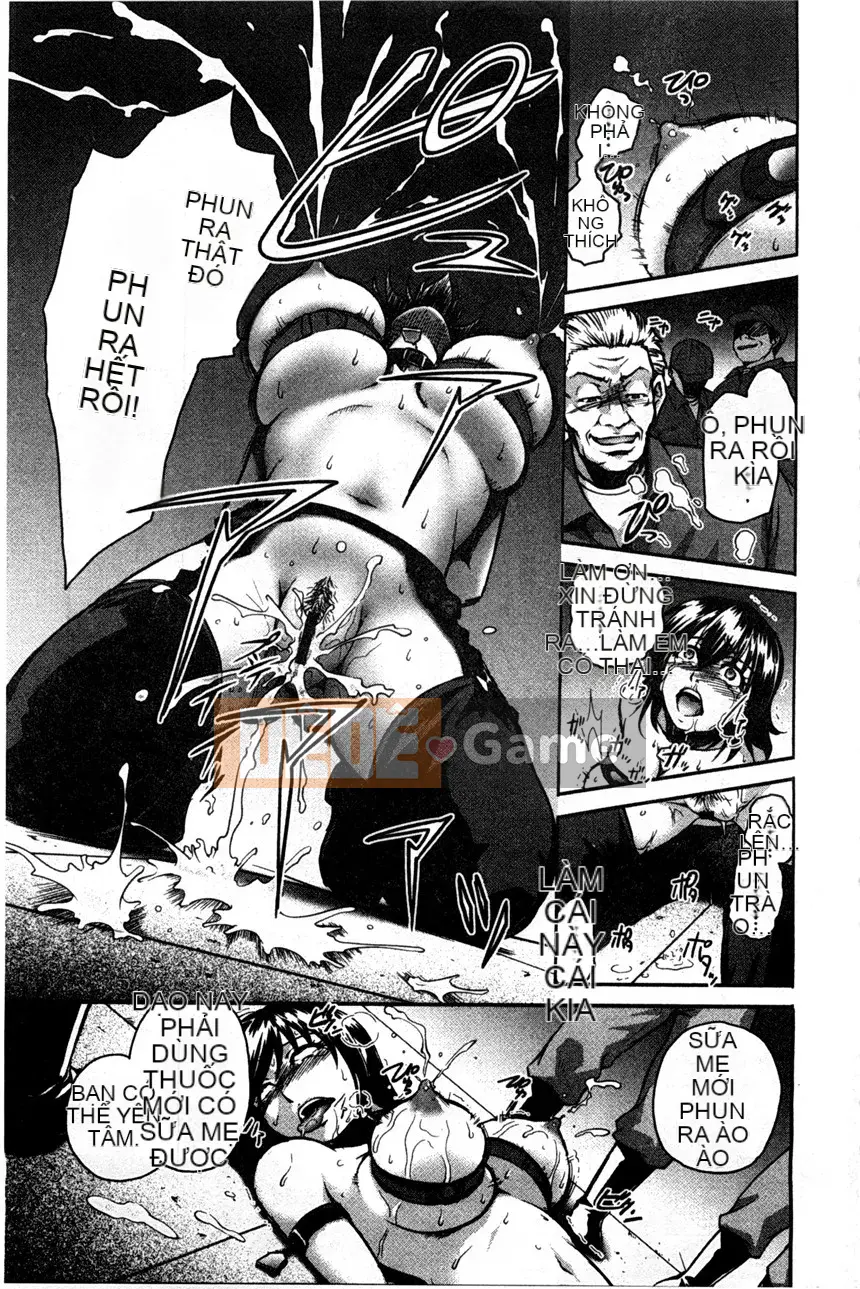 Chương trình kết thúc gieo hạt