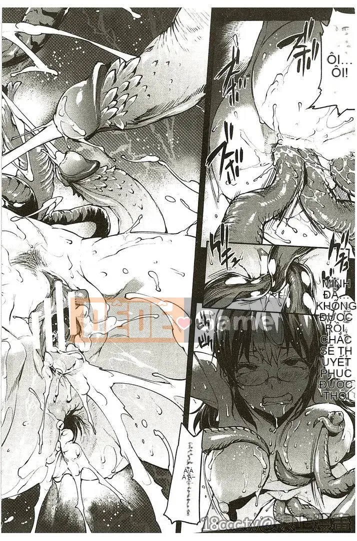 Sách chính tả của Divine Comedy