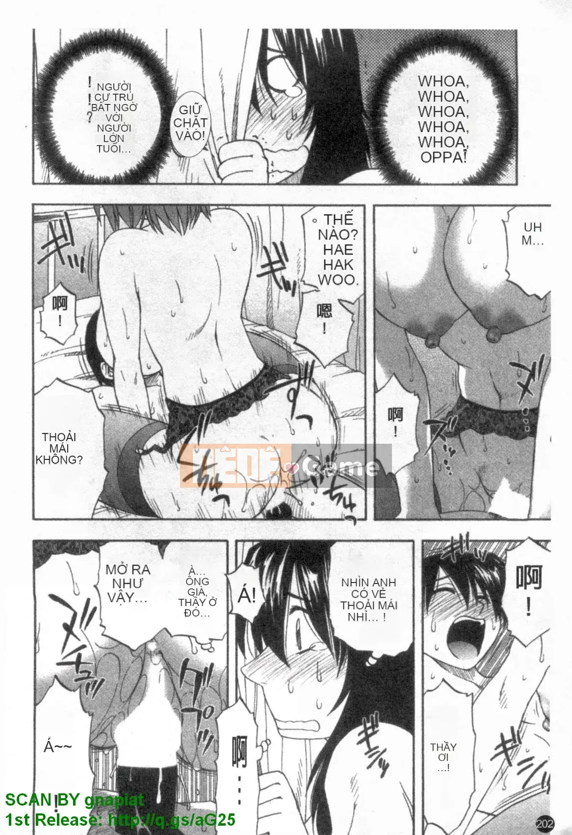 [Maeda Sengoku] Famikon