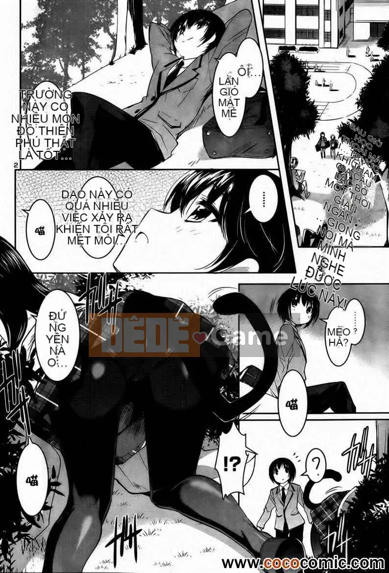 [Sorimura Yoji] Những cô gái thượng lưu!