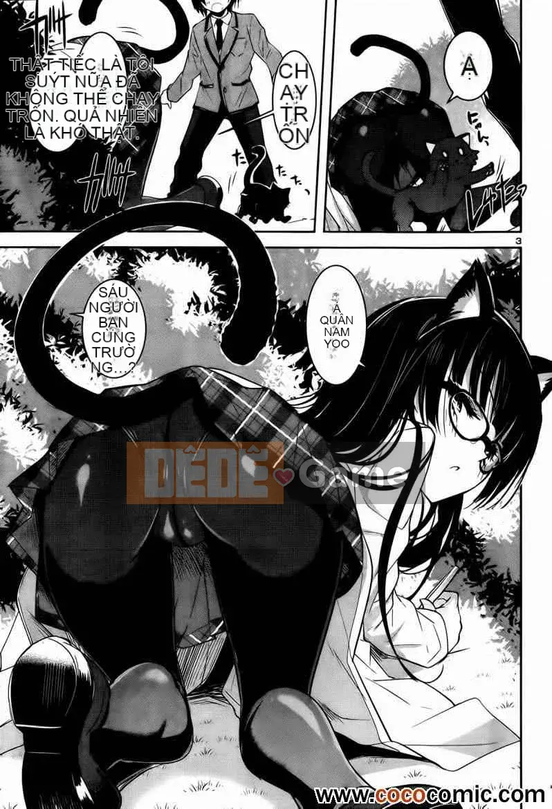 [Sorimura Yoji] Những cô gái thượng lưu!