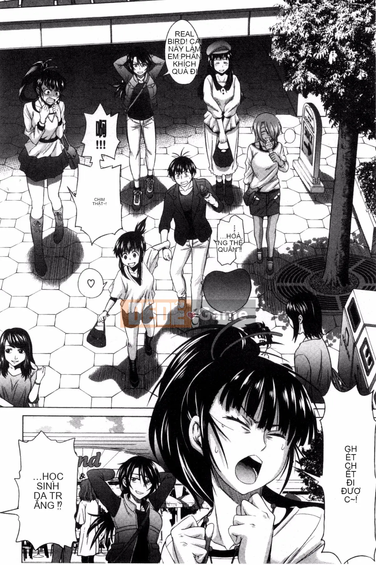 [Khoảng cách] Anekomori