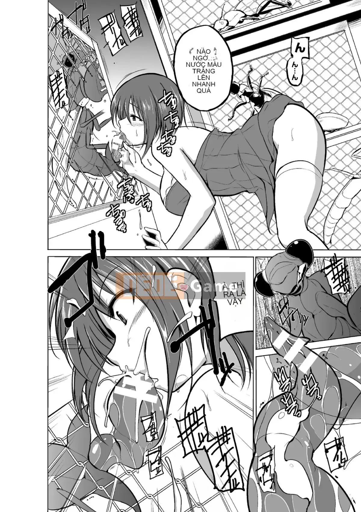 Chơi với côn trùng