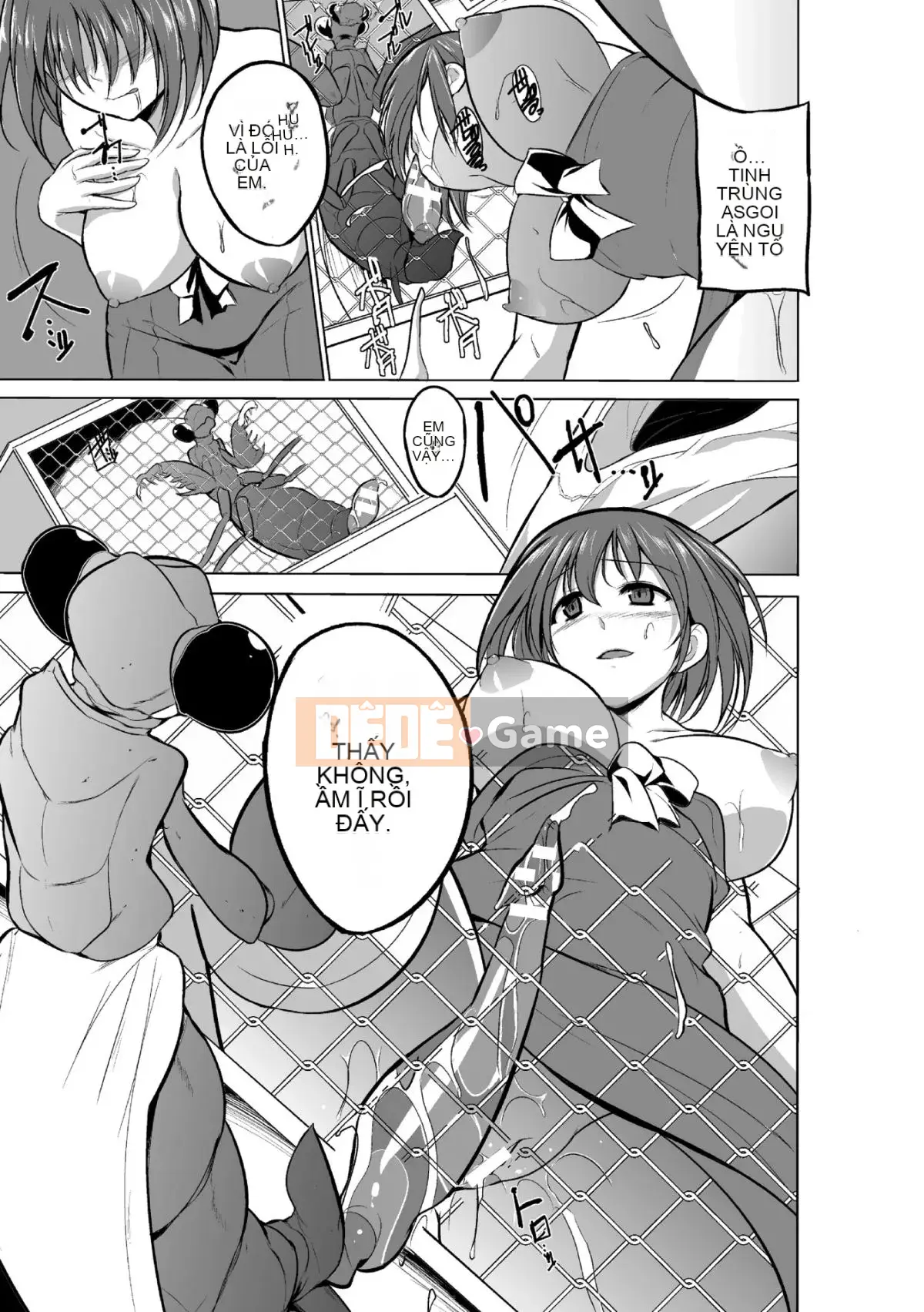 Chơi với côn trùng