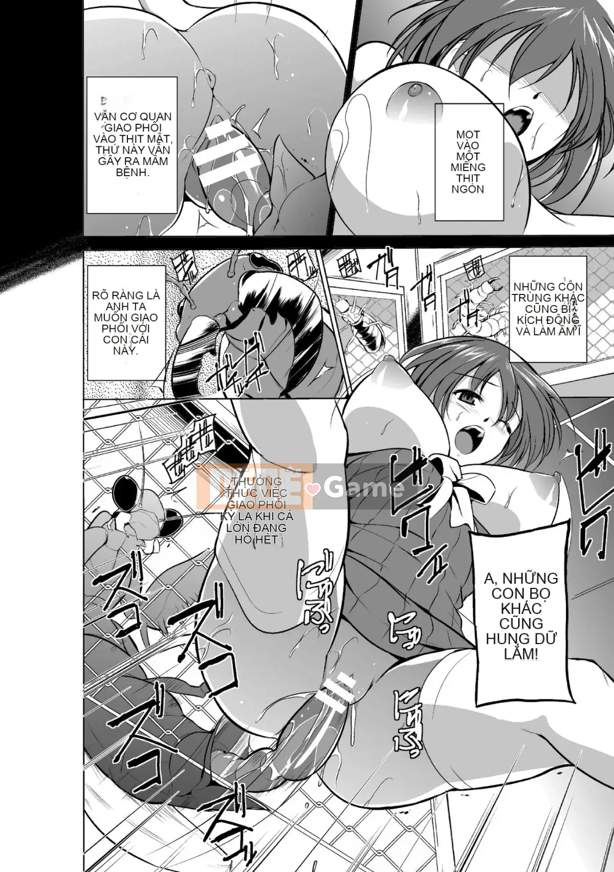 Chơi với côn trùng