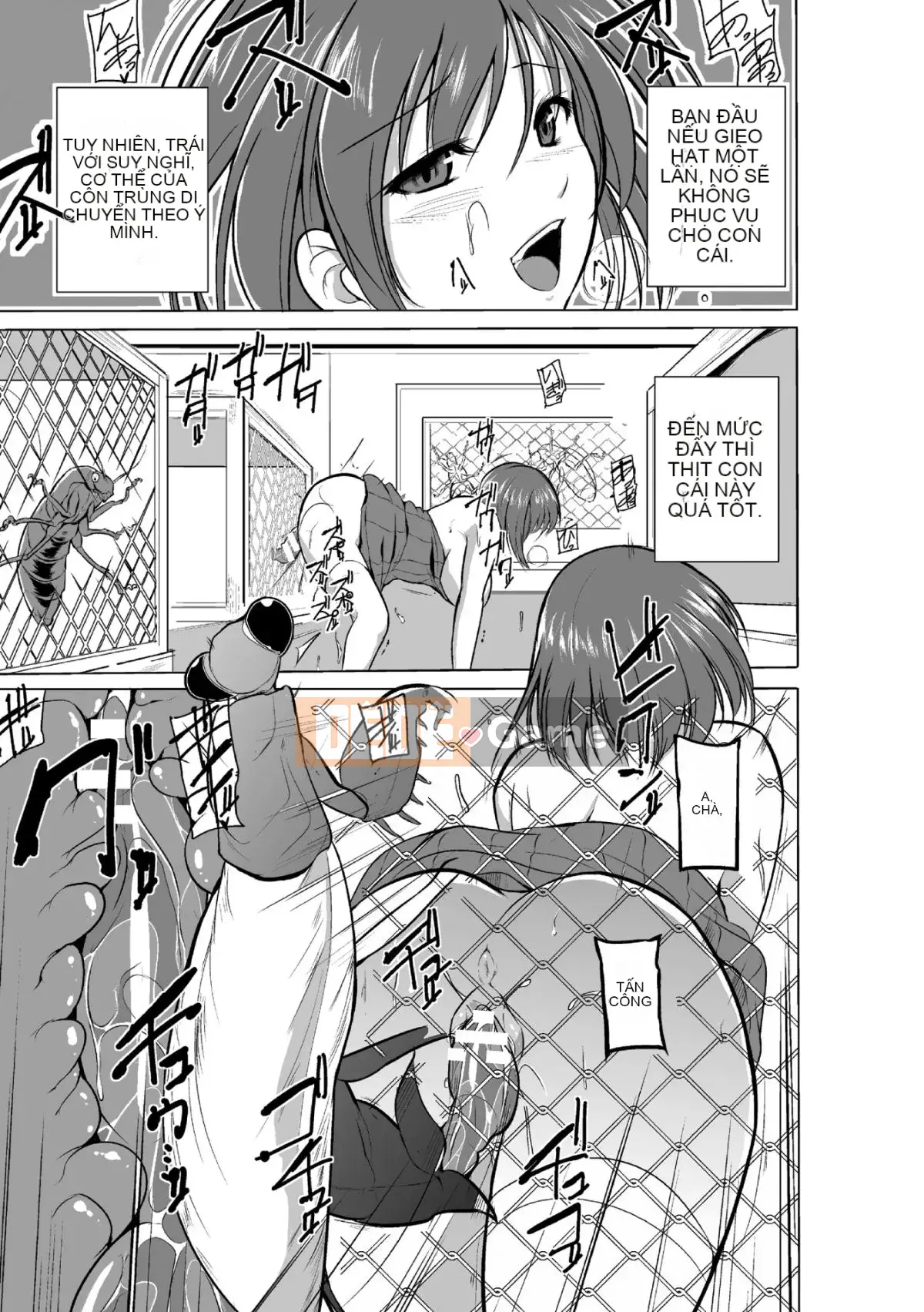 Chơi với côn trùng