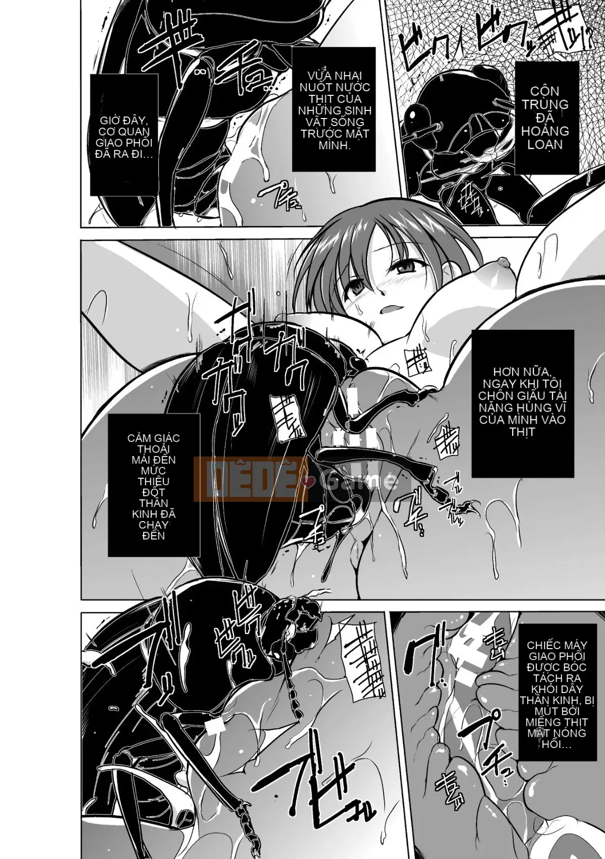 Chơi với côn trùng