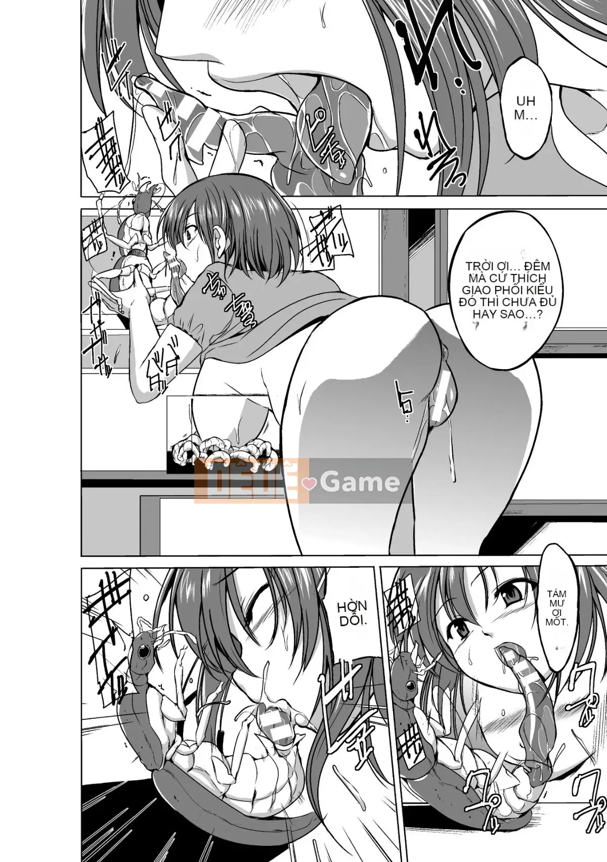 Chơi với côn trùng