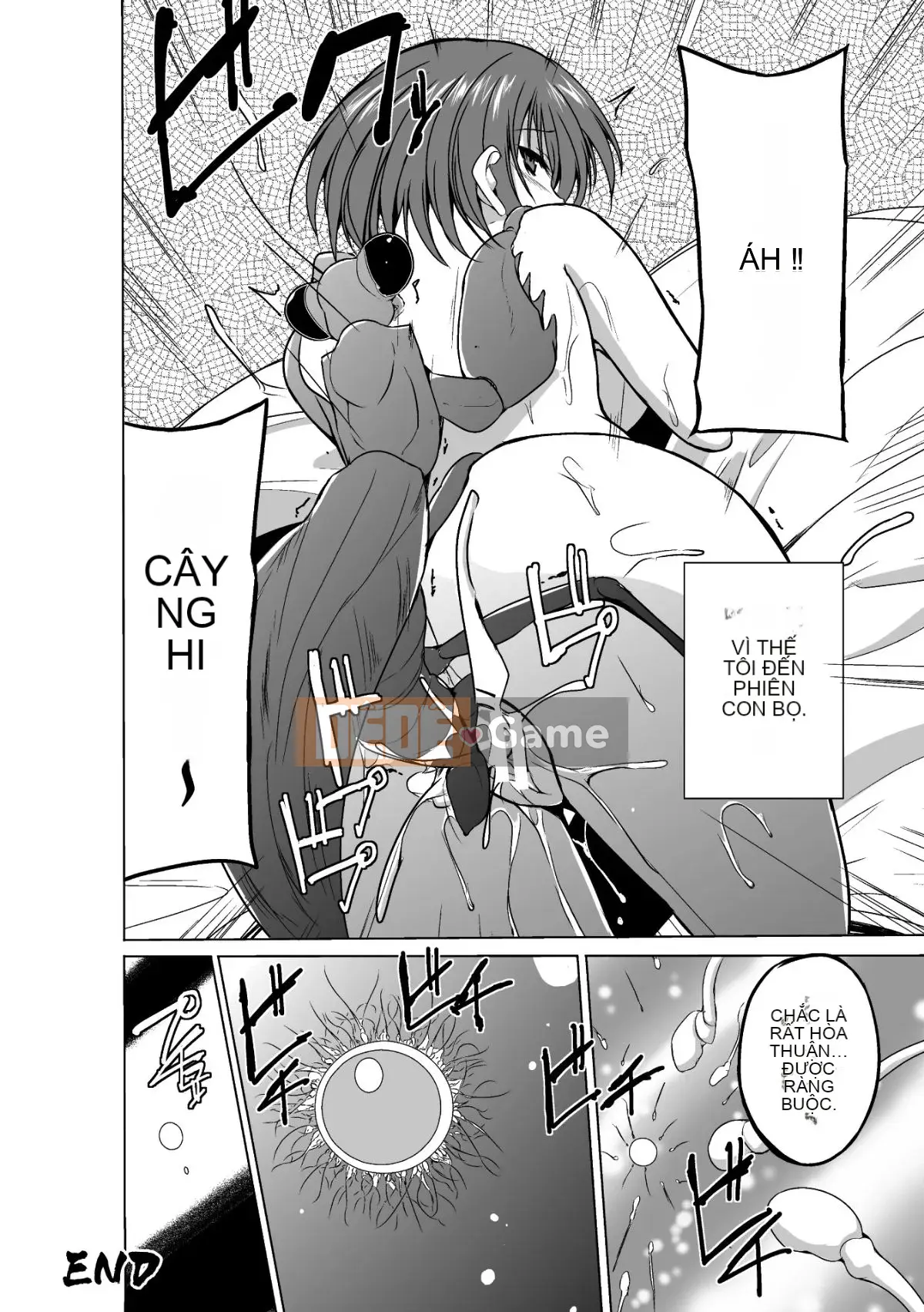 Chơi với côn trùng