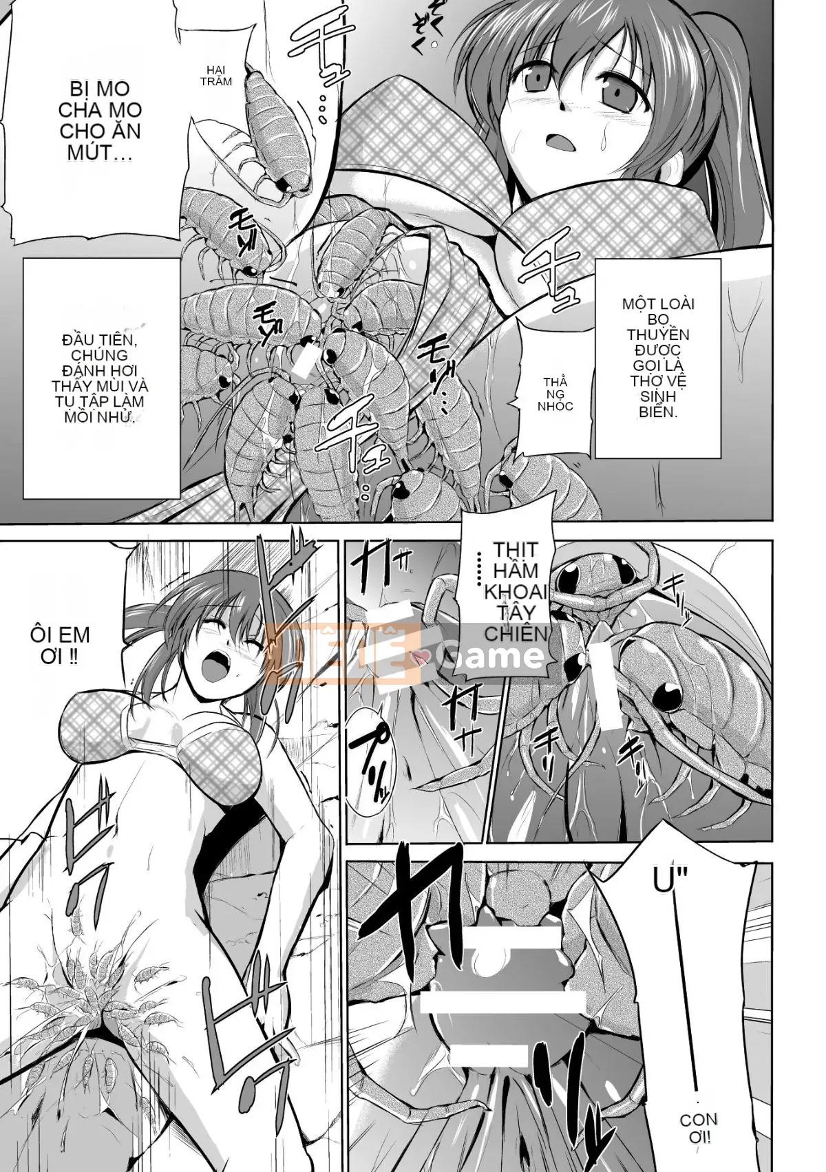 Chơi với côn trùng