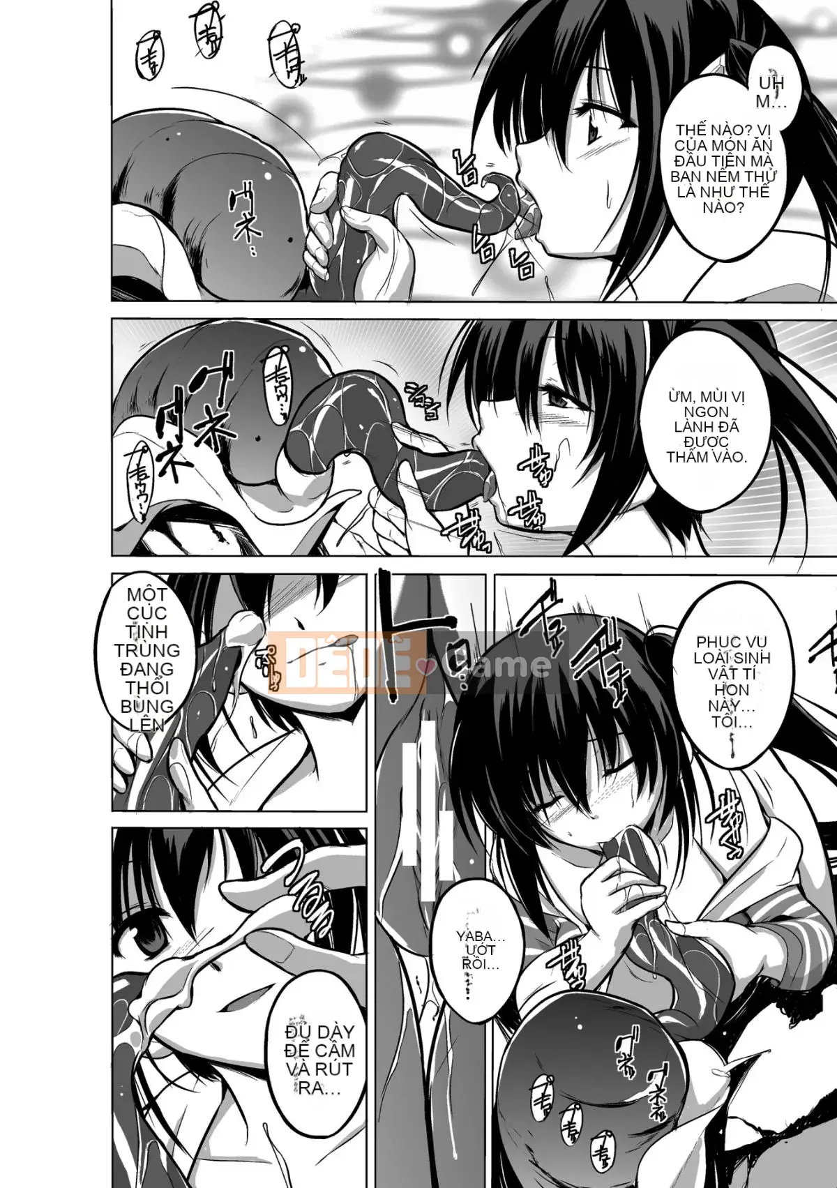 Chơi với côn trùng