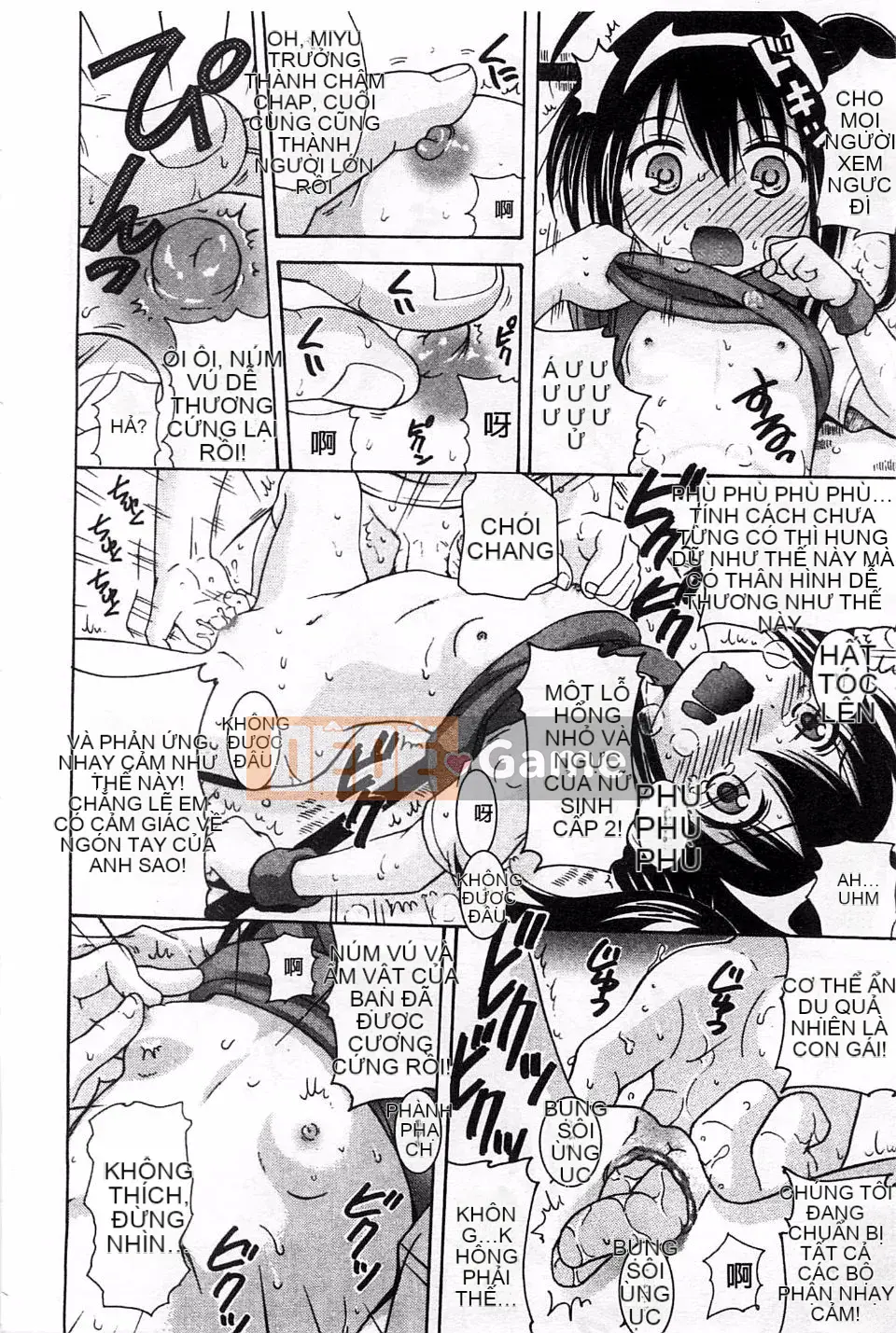 [Nendo] Người tình Shishunki