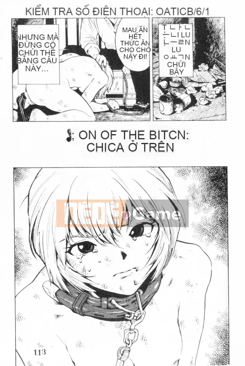 [Kikaro trên dạ dày] Tính năng đặc biệt