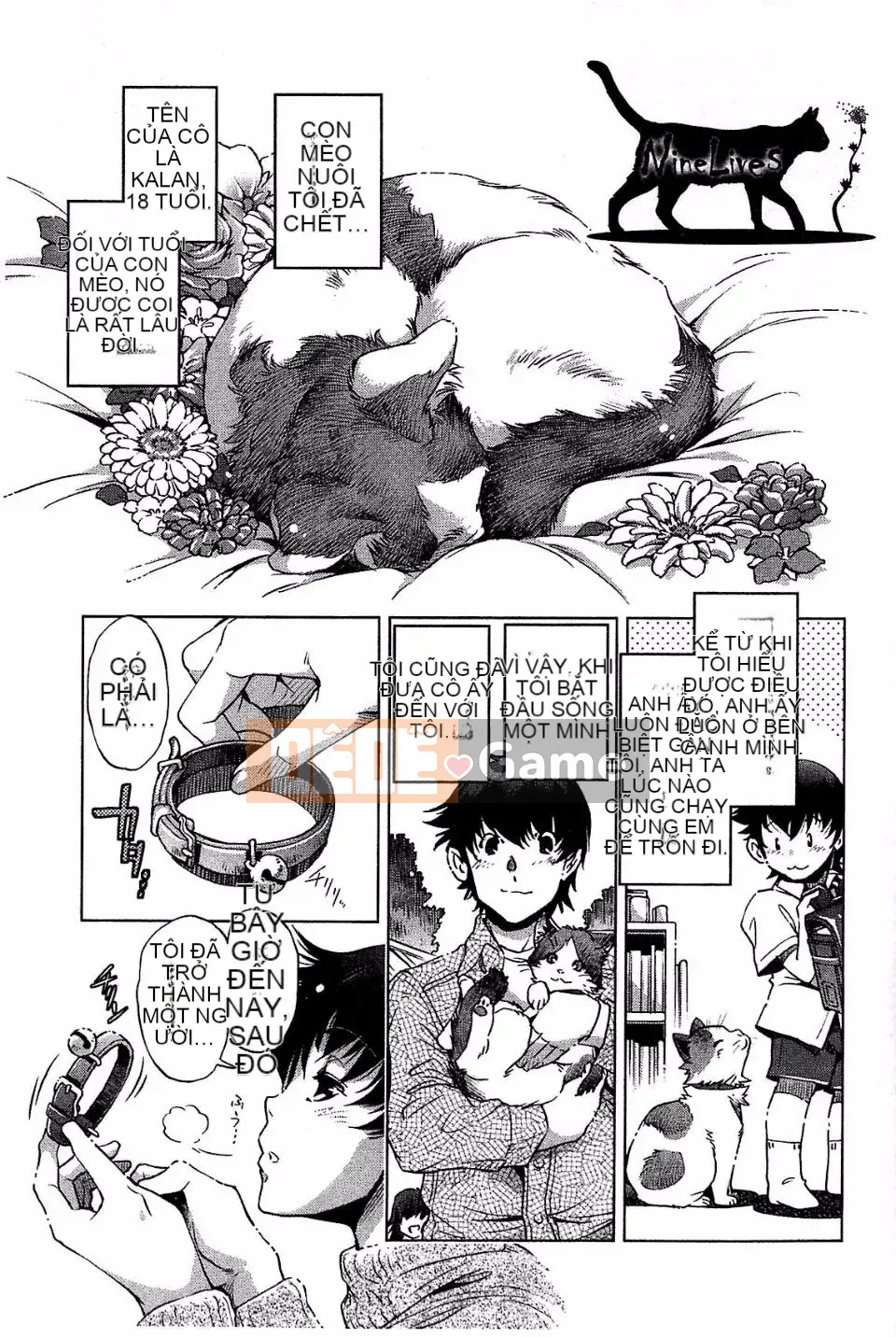 [Ootori Ryuji] Kainee