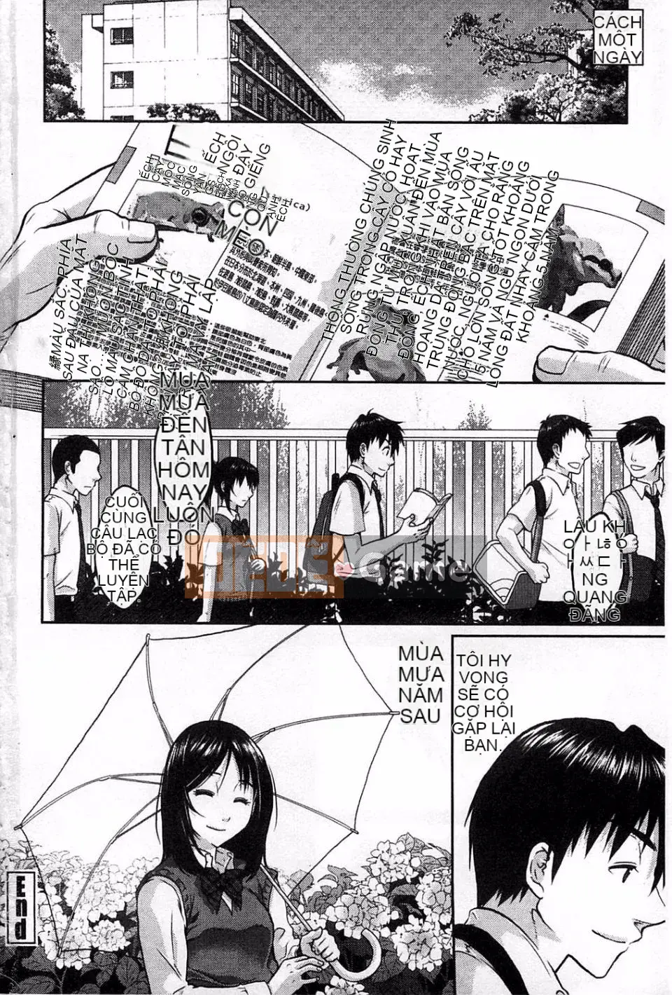 [Mafumi Sakura] Hội chứng thủy thủ nhạy cảm