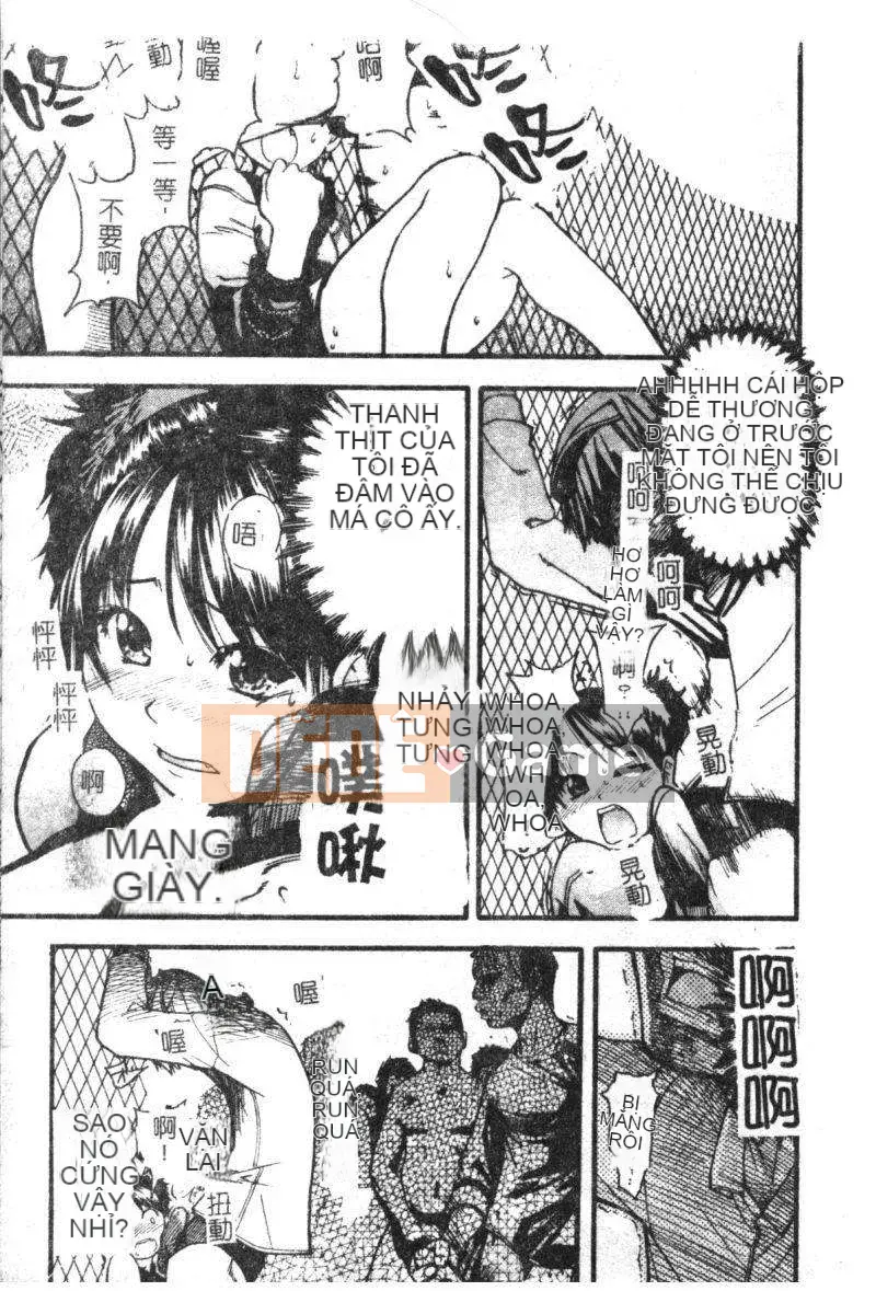 11_ Bảo tàng tỏa sáng Vol.2